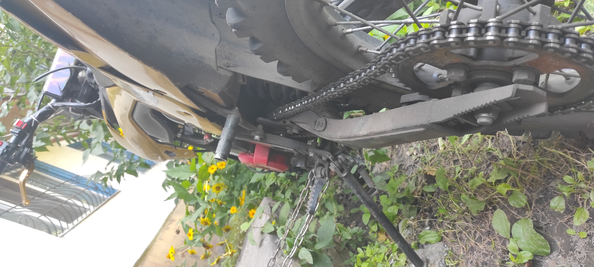 A low-angle, close-up shot captures the rear section of a golden dirt bike parked outdoors. The motorcycle's chain and sprocket are prominently featured, with the tire's tread visible in the background. A kickstand is deployed, resting on dry grass and dirt. In the mid-ground, a cluster of yellow wildflowers blooms against a rough-textured wall. The scene is set in an outdoor environment with foliage and natural elements, suggesting a location in Unknown, Unknown.