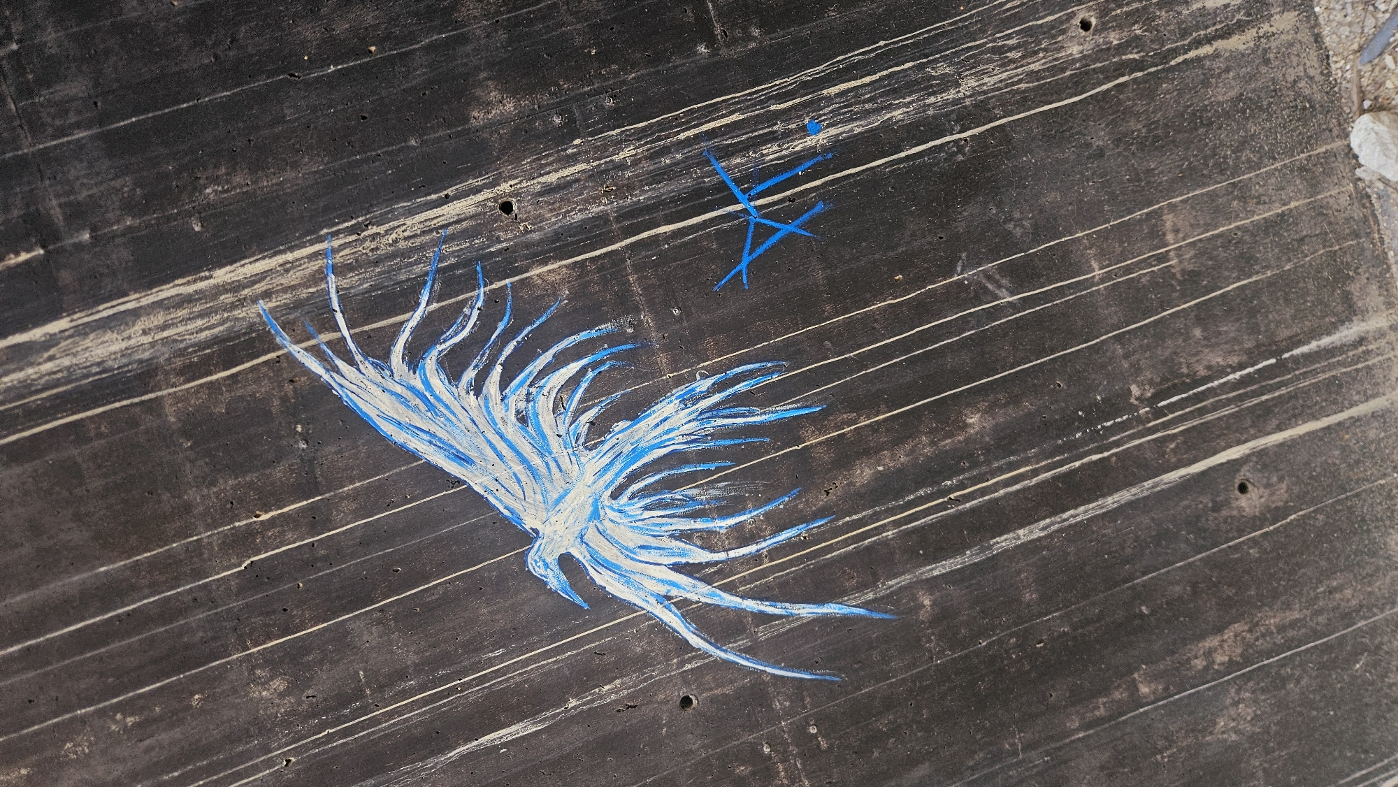 A chalk drawing of a bird in flight is on a dark, textured surface. The bird is rendered in white and blue chalk, with its wings spread and its tail feathers trailing. To the right of the bird, there is a smaller blue chalk drawing of a stylized star or cross shape. The surface itself appears to be a rough, possibly concrete wall, with visible lines and textures running diagonally across the image. The lighting suggests an outdoor setting, with shadows and highlights indicating a light source from above and to the left.