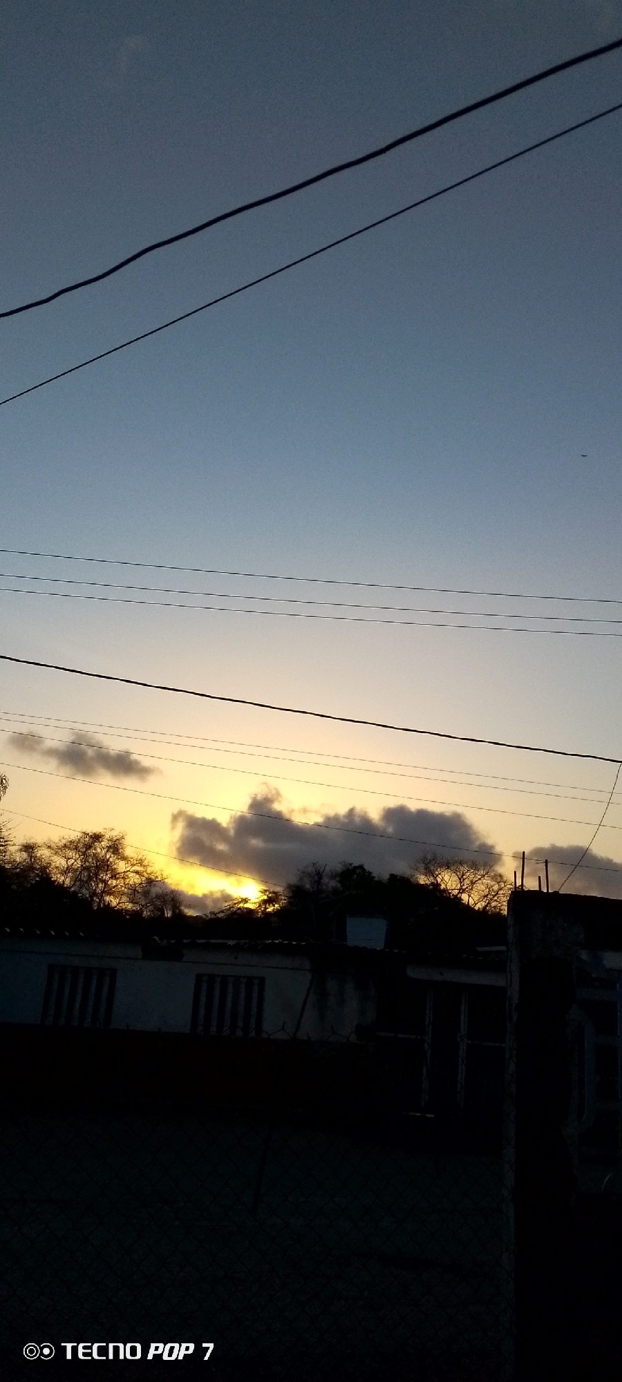 A low-angle outdoor shot, captured at dusk or dawn in Altagracia, Venezuela, shows a partially obscured sky featuring a gradient of blue and yellow hues. Several utility wires stretch horizontally across the upper portion of the frame.
Below the sky, the silhouette of a building with barred windows is visible. A cluster of trees and dense foliage further obscure the horizon line. The foreground is heavily underexposed, rendering the ground and any objects present in near-complete darkness. The "TECNO POP 7" watermark is visible in the lower-left corner of the frame.