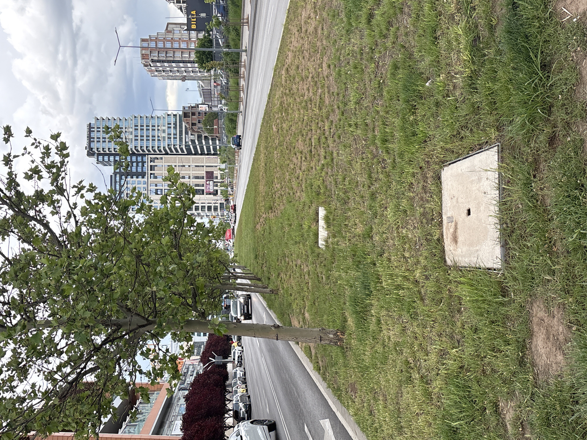The image shows a street in Sofia, Bulgaria, with multi-story buildings visible in the background. The street is lined with trees and cars. There is a patch of grass on the side of the street, with a concrete square object in the foreground of the grass. The sky is cloudy.