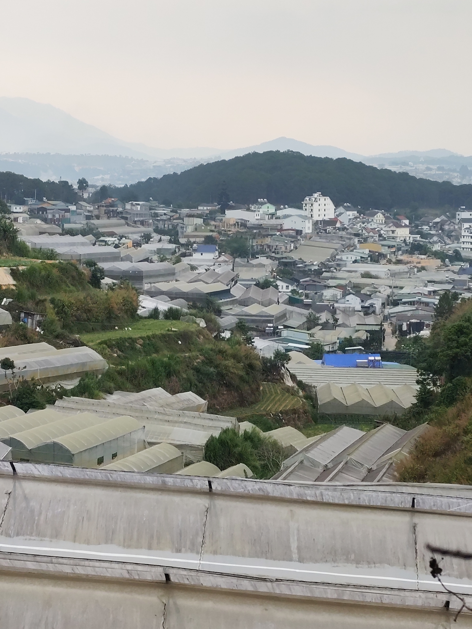 This wide-angle shot captures a dense, hilly landscape in what appears to be a semi-urban or peri-urban area, consistent with Cam Ly - Da Lat, Vietnam. The scene is dominated by numerous greenhouses and residential buildings sprawling across the undulating terrain.
In the immediate foreground, a concrete barrier or wall runs horizontally across the bottom section of the image, showing some signs of wear and cracks. Beyond this barrier, several rows of greenhouses with arched or angled translucent roofs descend down the hillsides, indicating extensive agricultural activity. These structures are made of light-colored, possibly plastic or fabric, material.
The middle ground features a mix of more greenhouses nestled among lush green vegetation and patches of earth, interspersed with clusters of houses and other buildings. The houses vary in size and style, with many featuring light-colored walls and roofs. Further up the slope, a more developed residential area is visible, with buildings closely packed together. One prominent multi-story white building stands out against the darker green hills.
In the background, the settlement extends upwards, merging with forested hills and distant mountains, which appear muted and hazy against a pale, overcast sky. The overall light is soft and diffused, suggesting either an overcast day or atmospheric haze, with no distinct shadows. No people or visible text are present in the image. The prevalence of greenhouses strongly suggests an area dedicated to intensive cultivation, likely for flowers or vegetables, which is characteristic of Da Lat.