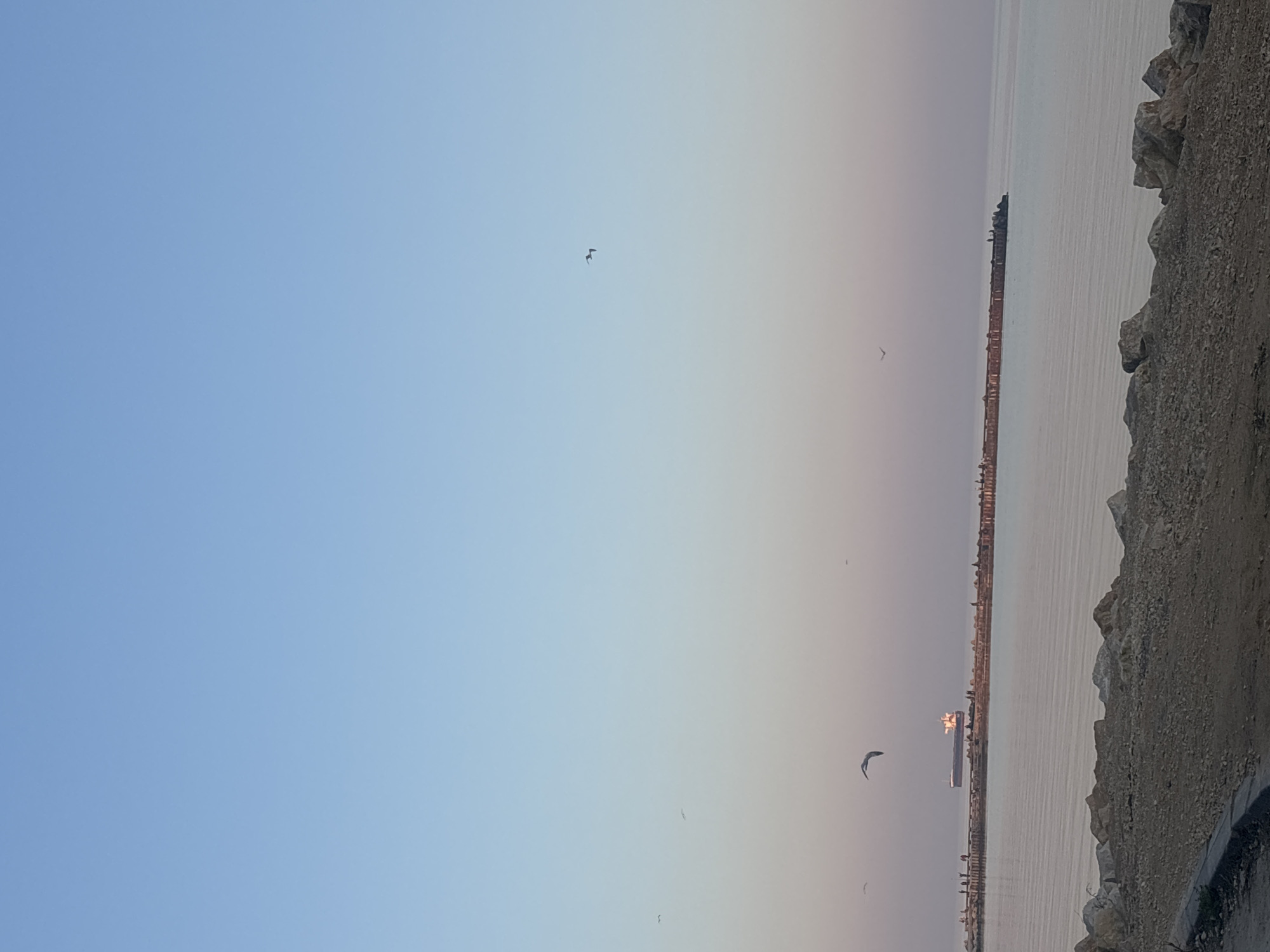 The photograph captures a coastal scene in Varna, Bulgaria, featuring a clear, light blue sky transitioning to a pale pink horizon above a calm body of water, likely the Black Sea. Several seagulls are scattered throughout the sky. A breakwater extends horizontally into the sea. A large ship is anchored behind the breakwater. The right side of the image shows a rocky shoreline.