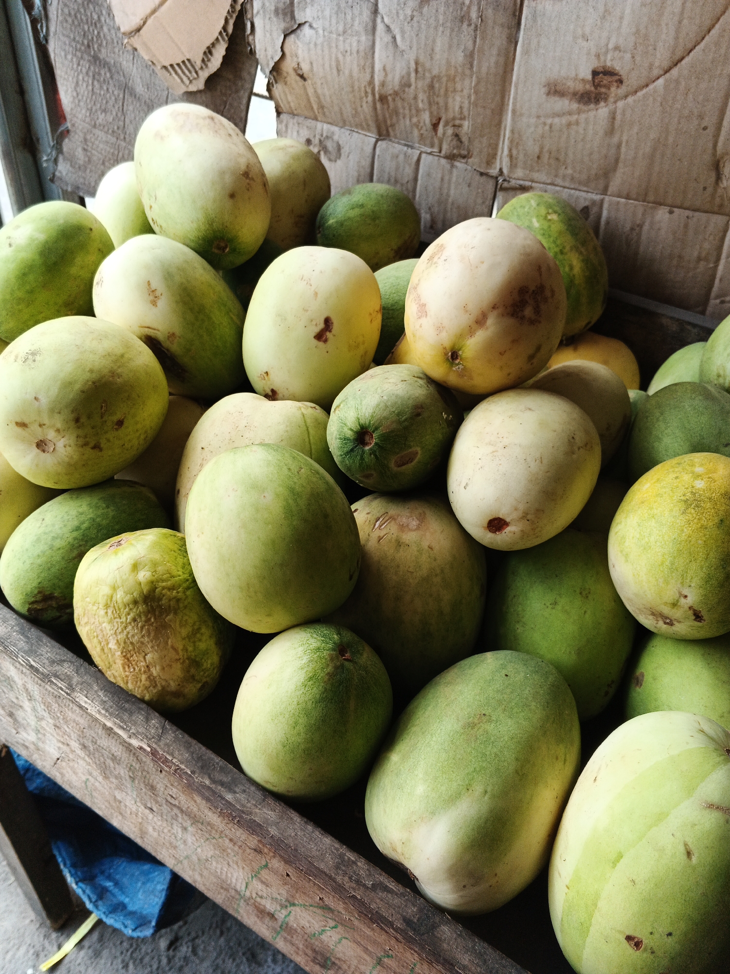 A close-up, high-angle shot shows a collection of pale green and yellow fruits, possibly guavas or similar, piled in a wooden crate. The fruits are of varying shapes, predominantly oval, with some showing blemishes and slightly rough skin. The wooden crate is weathered and appears to be part of a market stall. In the background, torn cardboard and rough fabric suggest a rustic, outdoor setting. The lighting is natural, casting soft shadows. The overall scene is a still life, focusing on the produce itself. The location is identified as Gandasari, Indonesia.
