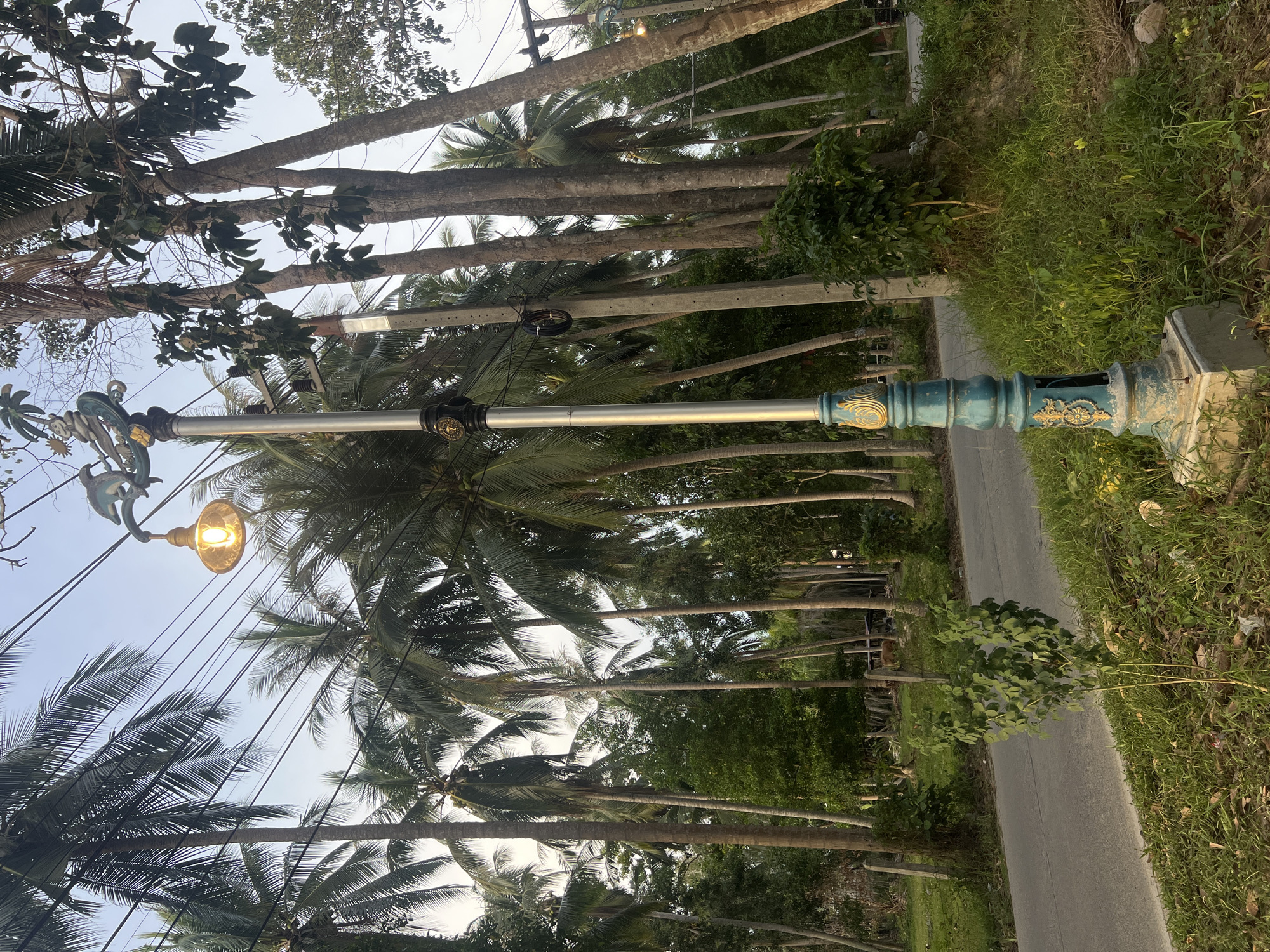 This image captures a street scene in Tambon Ko Phangan, Thailand, characterized by a profusion of coconut palm trees lining a paved road. The foreground features an ornate lamppost with a teal base and golden accents, topped with a lit bulb and a decorative fixture resembling a dolphin. Power lines crisscross the sky above the lamppost and the numerous trees, some of which are quite tall and slender. The road appears to be a two-lane street, with grass and foliage growing along its edges. In the background, glimpses of what might be a building or structure are visible through the trees, and a light-colored object, possibly an animal or a piece of equipment, is situated further down the road. The overall atmosphere is that of a tropical, semi-rural environment with hints of an established community.