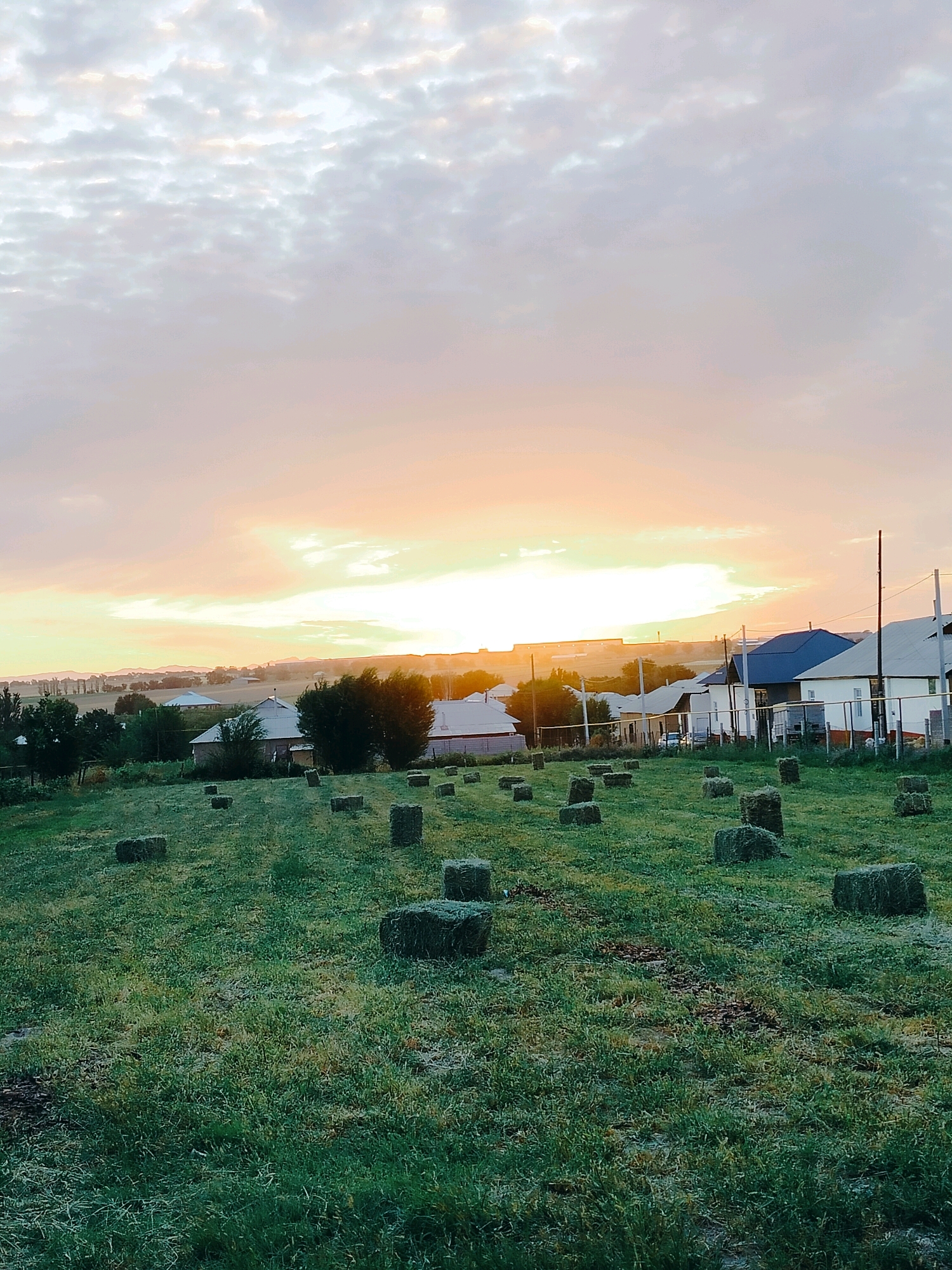 The image depicts a rural landscape at sunrise, characterized by a field of hay bales in the foreground and a residential area in the background. The sky is filled with soft, diffused light, with hues of yellow, orange, and pink indicating the sun's ascent. Scattered across the verdant, slightly dewy grass are numerous rectangular hay bales, arranged in an irregular pattern. In the mid-ground, a cluster of houses with pitched roofs and white siding are visible, interspersed with trees. The houses appear to be part of a village or small town, suggesting a rural setting on the outskirts of Көлкент, Kazakhstan. Utility poles and wires are also present, indicating the presence of infrastructure. The overall scene conveys a sense of tranquility and the quiet activity of rural life at the start of a new day. No people are visible in the image.