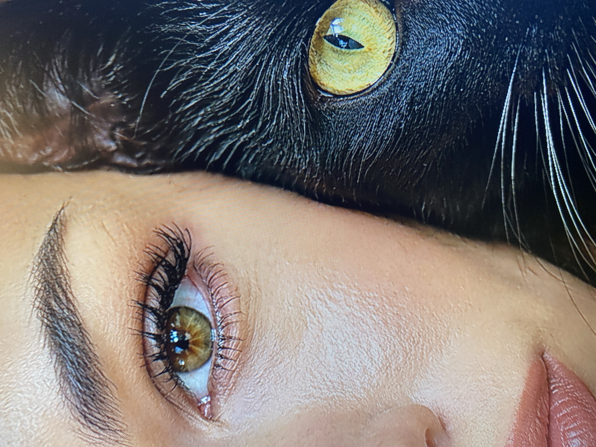The image is a close-up, split-frame portrait of a person and a cat. On the left is a human eye with a brown iris, long eyelashes, and a lightly arched eyebrow. The skin appears smooth and lightly made up, with visible texture. Part of the nose and a section of the lips, colored in a muted pink lipstick, are also visible. On the right side of the frame is the face of a black cat, dominated by a large, bright yellow eye with a vertical pupil. The cat's fur is dark and appears soft, with prominent white whiskers extending outwards. The composition is symmetrical, with the two faces meeting along a vertical line in the center. The lighting is soft, highlighting the textures of both the skin and the fur. There is no discernible background or environmental context visible. This image has been digitally altered or composed. There is no information in the image that allows for the identification of a location in the city of Mahilyow, Belarus.