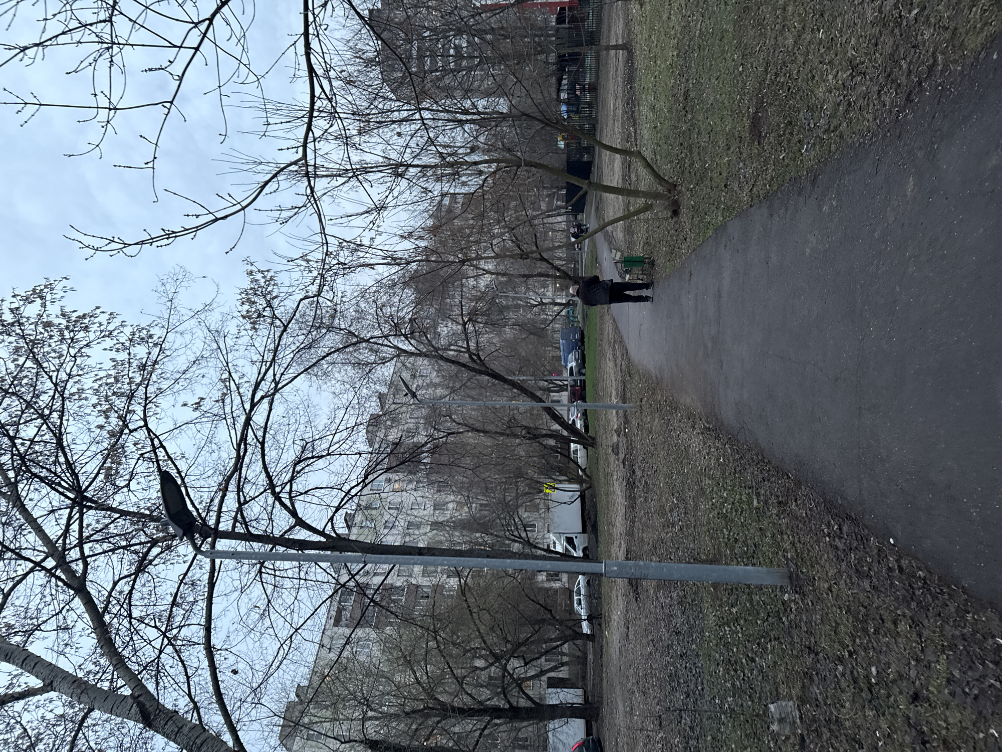 A long, straight, dark gray paved path stretches into the distance. The path is bordered by an area of dirt and sparse grass covered with fallen leaves. Bare trees line both sides of the path, their branches reaching up against a cloudy sky. Buildings are visible in the background, partially obscured by the trees. A person is walking along the path in the distance. There are a trash can or two by a tree. The location is likely in a park or residential area in Moscow, Russia, given the architectural style of the buildings. A lamppost is in the foreground. The scene is bleak, typical of late autumn or early spring. There are cars parked on the other side of the grassy patch, presumably on a street.