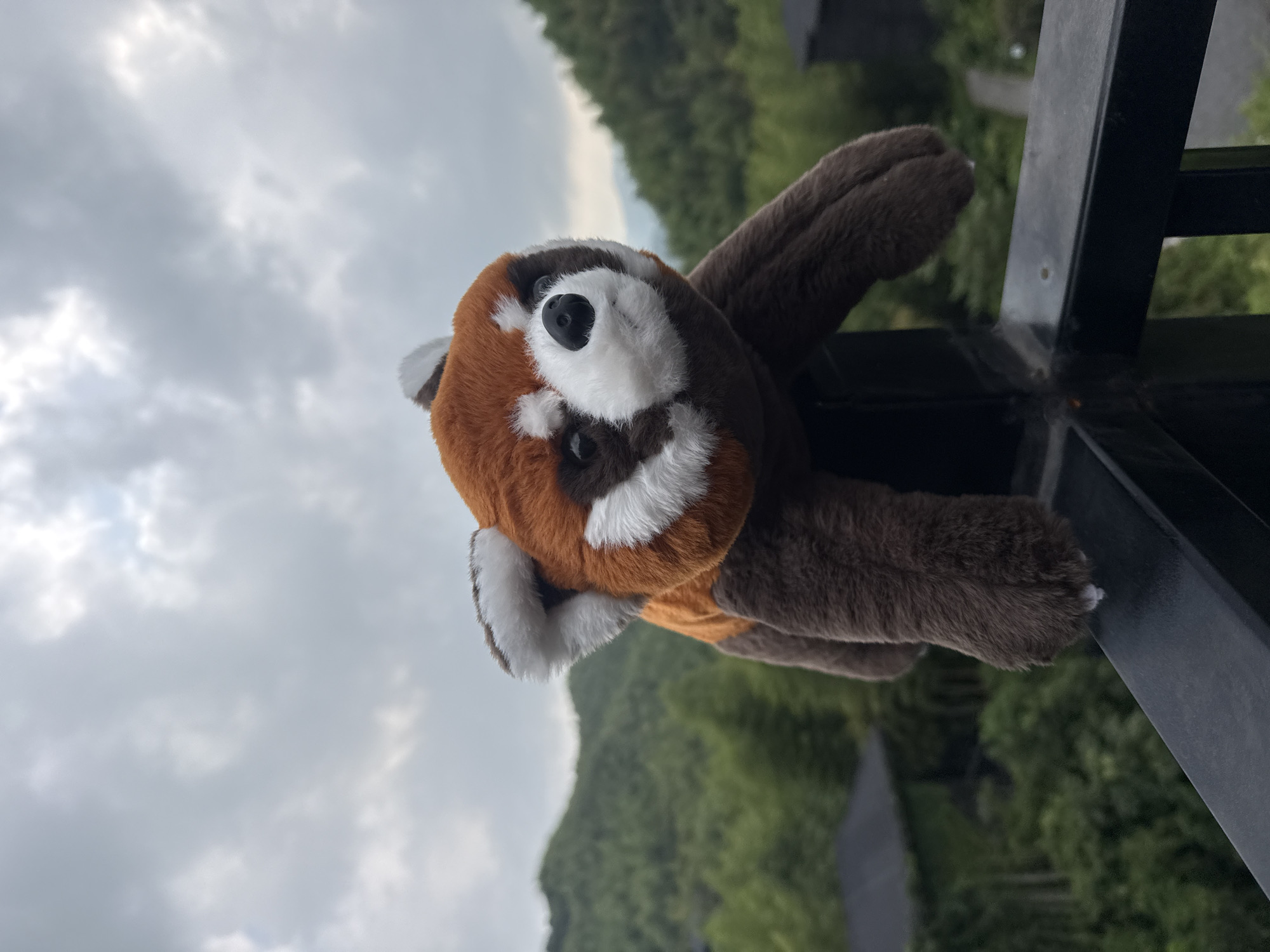 A plush red panda toy is positioned on a dark railing against a backdrop of lush green mountains and a cloudy sky. The red panda toy, with its characteristic orange and white fur, is the central subject of the image. Its paws are extended forward, and it appears to be looking towards the viewer. In the background, rolling hills covered in dense vegetation and trees create a natural landscape. Several dark-roofed structures are visible among the trees, suggesting human habitation or lodging within this natural setting. The overall scene suggests an outdoor location, possibly a balcony or viewing platform, overlooking a mountainous region. The weather appears overcast, with diffused light filtering through the clouds. The location is the city of Wuxing District, China.