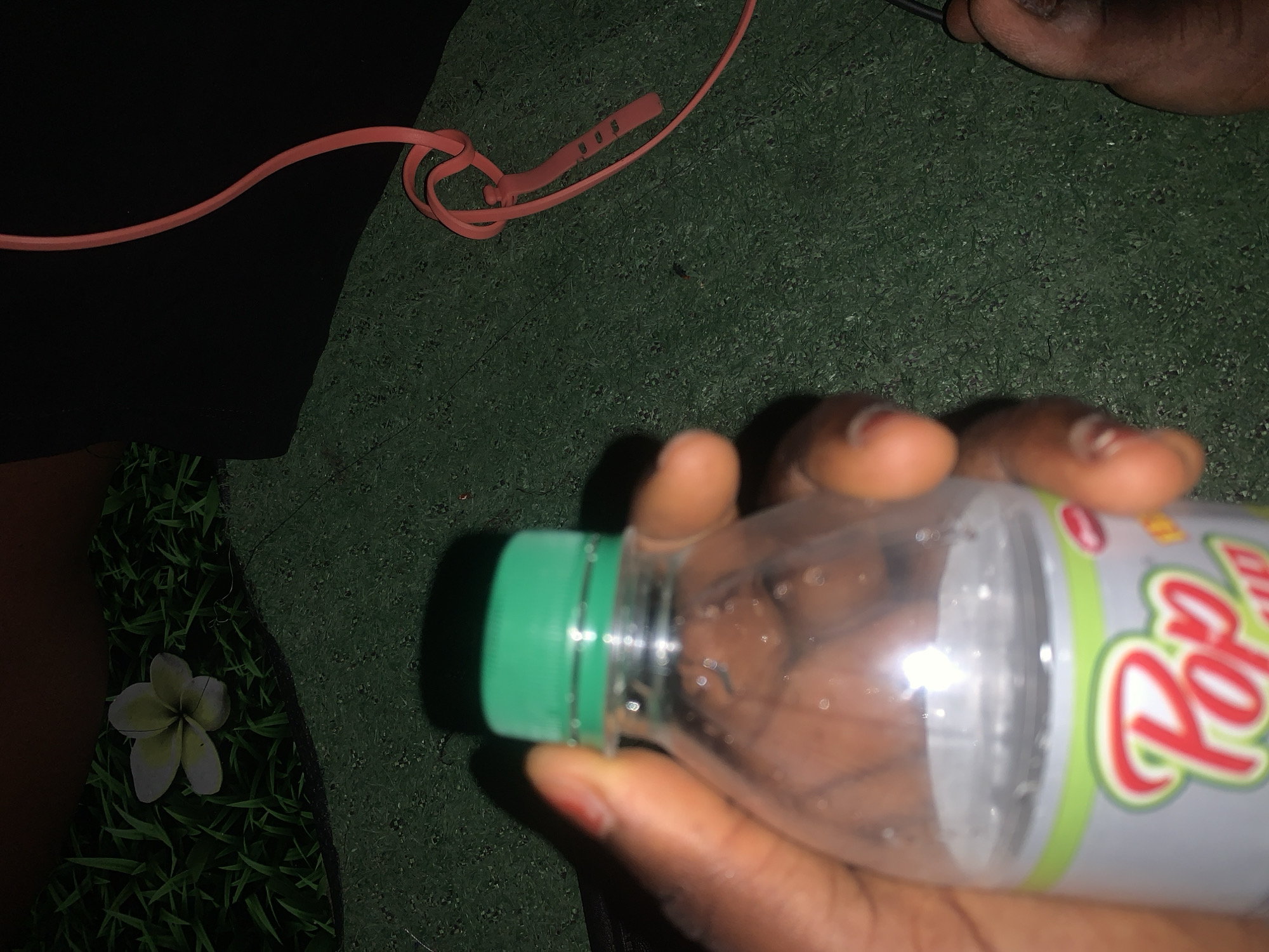 In Jalingo, Nigeria, a close-up shot focuses on a person's hand holding a clear plastic bottle of "Pop Up" soda. The bottle has a green cap. The background features a green, artificial turf-like surface. To the left of the bottle, a single white flower with five petals rests on a patch of what appears to be artificial grass. A bright pink cord, likely from headphones, is visible on the right side of the image, coiled and partially obscured by the bottle. A human foot is also visible in the lower right corner of the frame. The lighting suggests an indoor or dimly lit outdoor setting.
