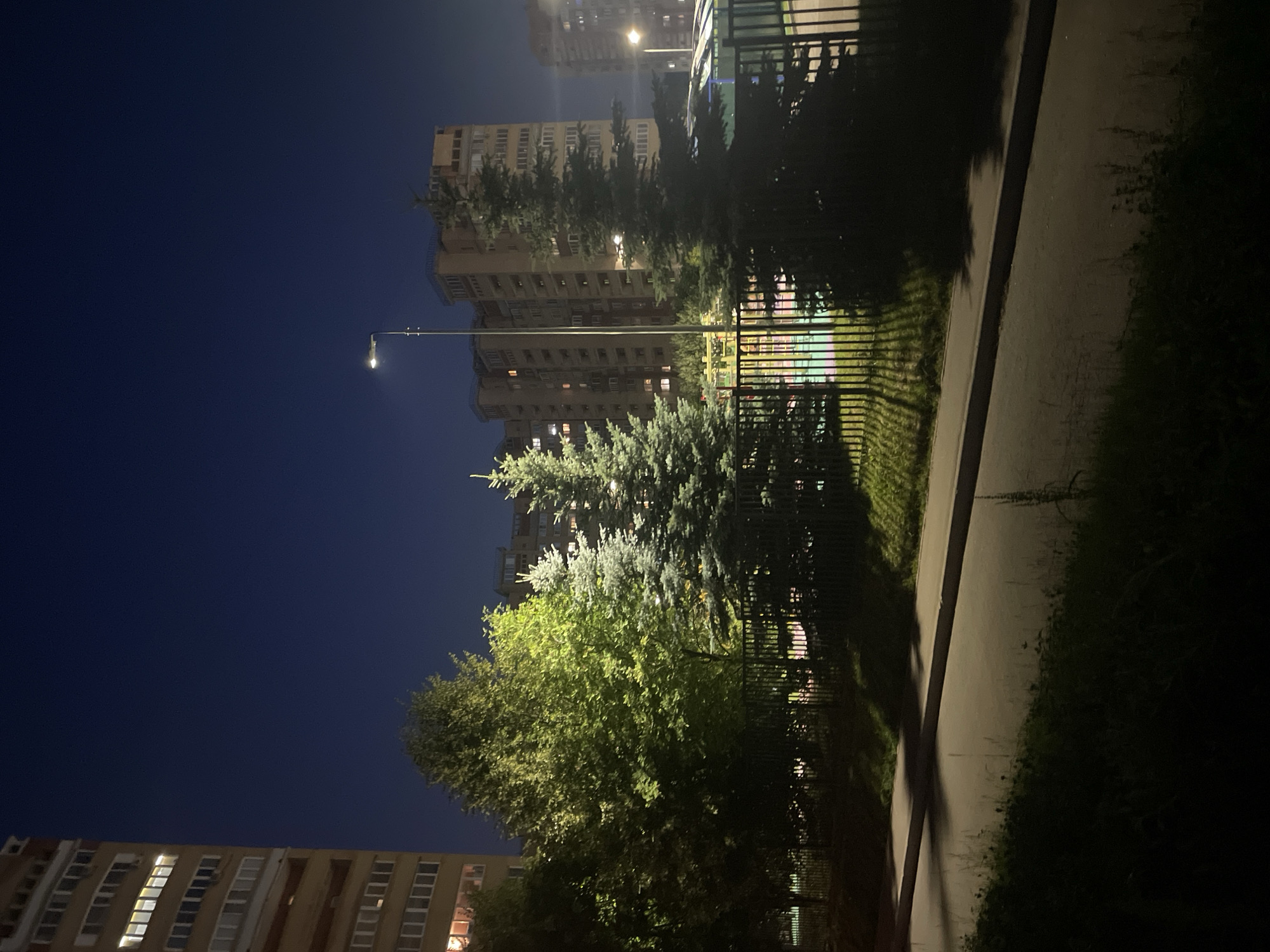 This is a night-time, eye-level, full shot of a residential area in Krasnogorsk, Russia. In the foreground, a dark asphalt path runs diagonally across the frame, bordered by unkempt grass and shadows. Beyond the path, a dark metal fence encloses a grassy area where several fir trees are illuminated by artificial light, casting long, distinct shadows. In the background, multi-story apartment buildings with illuminated windows rise against a dark blue sky. A streetlamp is visible in the mid-ground, its light contributing to the overall illumination. The scene depicts a typical urban evening, with residential buildings and green spaces under artificial light.