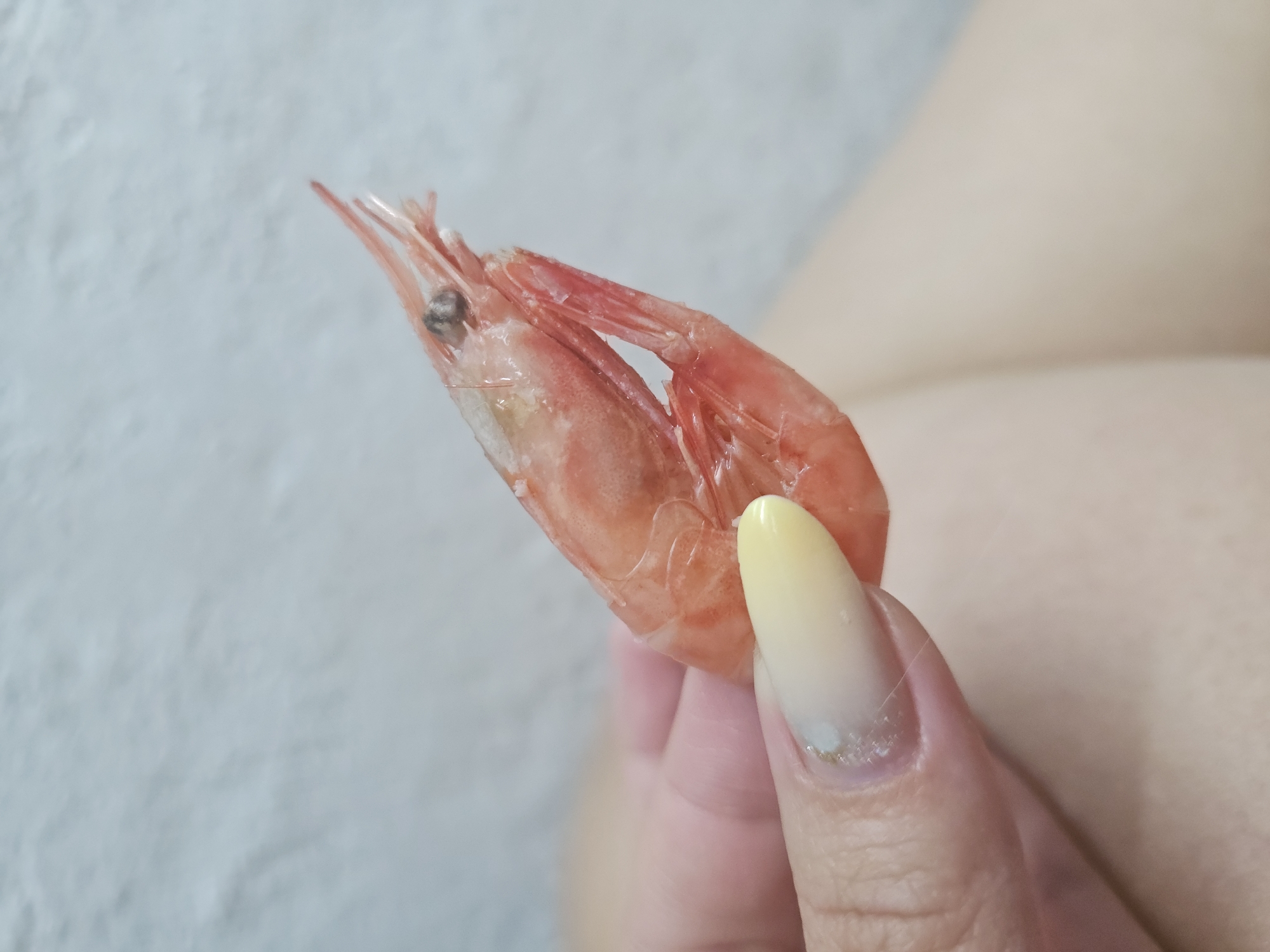 A close-up shot shows a person's hand holding a cooked shrimp. The shrimp is pink and segmented, with its head and tail visible. The person's fingernail is painted with a light yellow and white gradient, with some glitter accents. The background is a blurry, light-colored surface, possibly a wall or fabric.