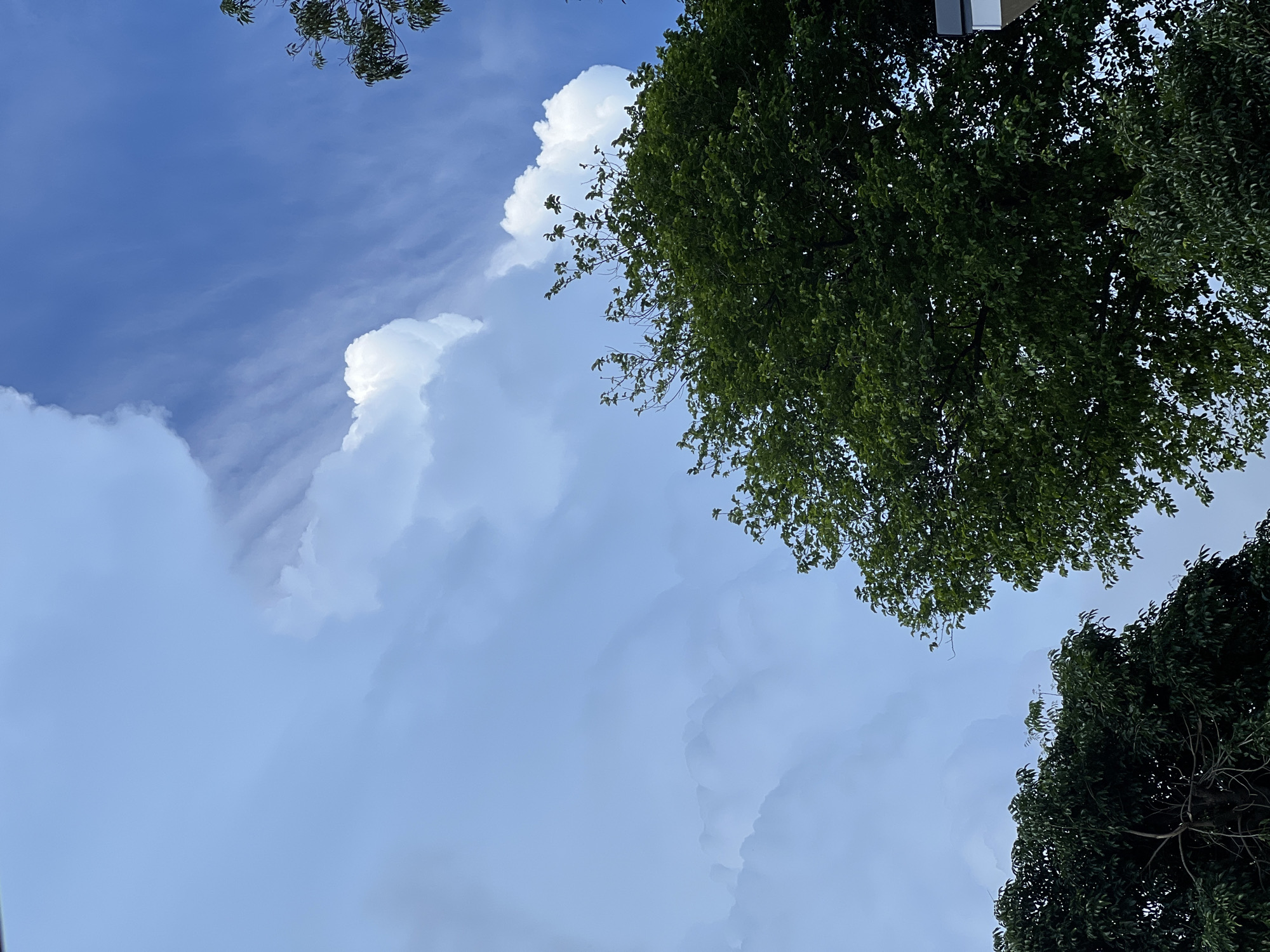 This image shows a view looking up at a cloudy sky. The clouds are white and puffy, with some wispy clouds in the distance. Lush green foliage from trees frames the top and right side of the image, with the top left edge showing a sliver of a building. The sky is a bright blue, indicating it is daytime, likely mid-morning or early afternoon. The clouds suggest a partly cloudy day, common in tropical climates like Karon, Thailand. There is no text visible in the image. The overall impression is one of a bright, natural, and somewhat dynamic sky.