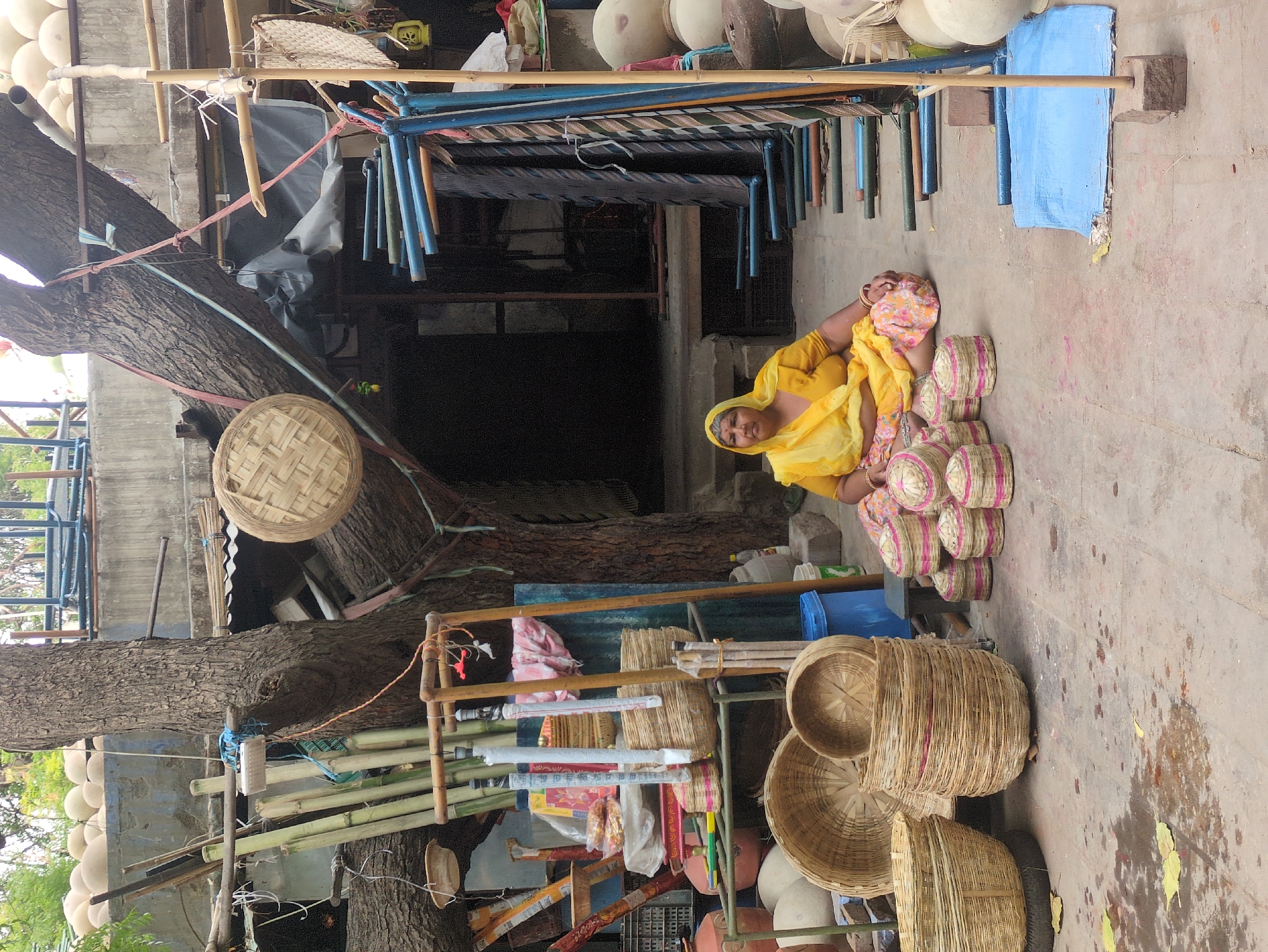 In Jodhpur, India, a woman in a bright yellow sari and patterned skirt sits cross-legged on a concrete ground. She is surrounded by an assortment of woven bamboo baskets. To her right, several small, lidded baskets with pink accents are neatly arranged. Behind her, a large stack of taller baskets forms a prominent display. In front of the stack of baskets, a very large, wide basket rests on what appears to be a spare tire. To the left of the large stack, a round, flat basket is also visible. The setting appears to be an outdoor market or workshop. A large tree with rough bark dominates the background, with its branches extending upwards and secured with ropes. Various bamboo poles, some bundled together, are propped against the tree and a wooden structure. A blue plastic bin is visible to the left of the basket display. The ground is stained with water and scattered with dry yellow leaves. In the background, there is a building with dark openings and metal shelving units filled with more items. Several large, round, pale objects are stacked against the wall in the right background, some covered by a blue tarp. The overall scene depicts a vendor in an outdoor environment surrounded by her merchandise.