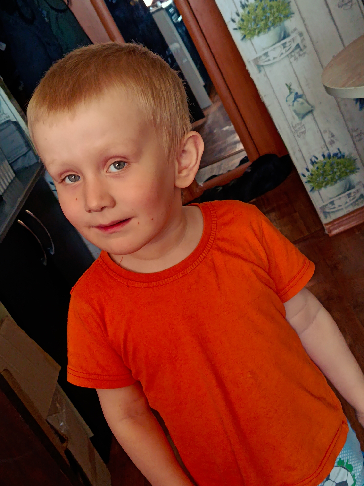 A close-up portrait shows a young boy indoors, likely in a home setting in Фоки, Russia. The boy, who appears to be a toddler or pre-schooler, has light blond or reddish-blond hair and striking blue-grey eyes. He looks directly at the camera with a neutral to slightly curious expression, a faint smile playing on his lips, and his cheeks appear a little rosy.
He is wearing a bright, plain orange short-sleeved t-shirt. Partially visible at the bottom of the frame are blue patterned shorts featuring a white and black soccer ball design.
The background consists of elements suggesting a household room, possibly a kitchen or dining area. To the boy's left, dark cabinets or furniture with silver-colored handles are visible. To his right, a decorative wall panel resembling whitewashed wooden planks is prominent. This panel is adorned with illustrations of potted green plants, possibly lavender, and a small sachet. English text, including the phrase "Home Sweet Home" and other cursive words, is visible on this panel. The flooring is a warm brown, appearing to be wood or a wood-look material. A dark, indistinct object lies on the floor further back.
The lighting is soft and natural, indicating it is likely daytime. The scene conveys a candid moment of the child within his personal space, characterized by comfortable and decorative home elements.