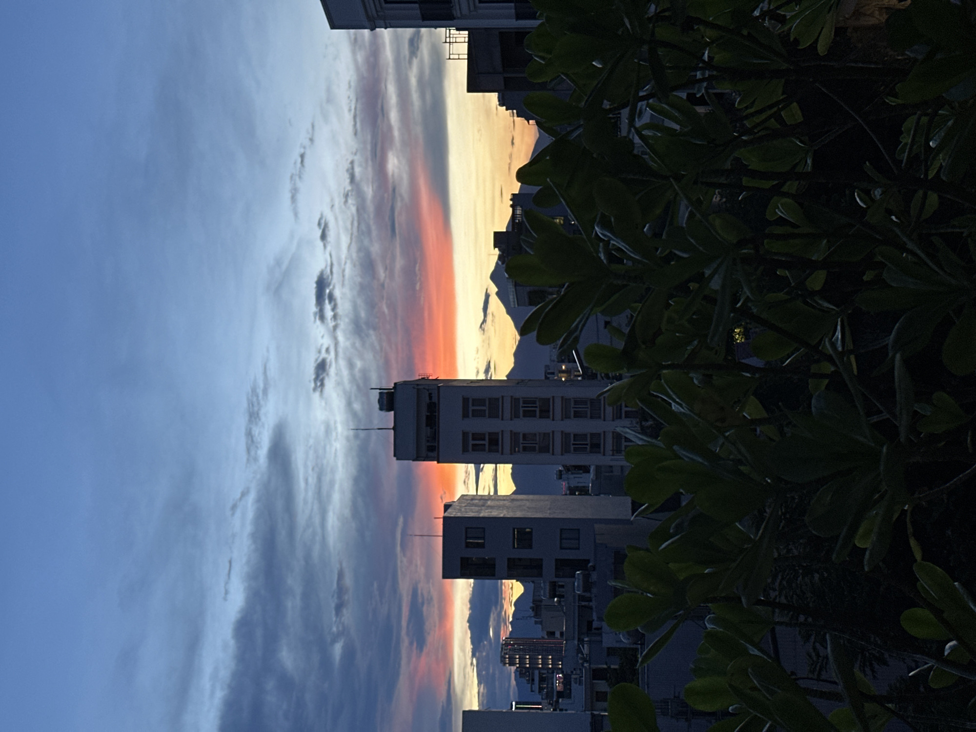 This is a photograph taken at dusk in Đà Nẵng, Vietnam, with the camera positioned on a rooftop overlooking a cityscape. In the foreground, lush green foliage partially obscures the view. Beyond the plants, several multi-story buildings are visible, silhouetted against a vibrant sunset sky. The sky displays a gradient of colors, transitioning from a soft blue at the top to hues of orange and pink closer to the horizon, where distant mountains are dimly outlined. The architecture of the buildings suggests an urban environment, with some appearing modern and others older. The overall scene captures a tranquil moment at the end of the day in a coastal Vietnamese city.