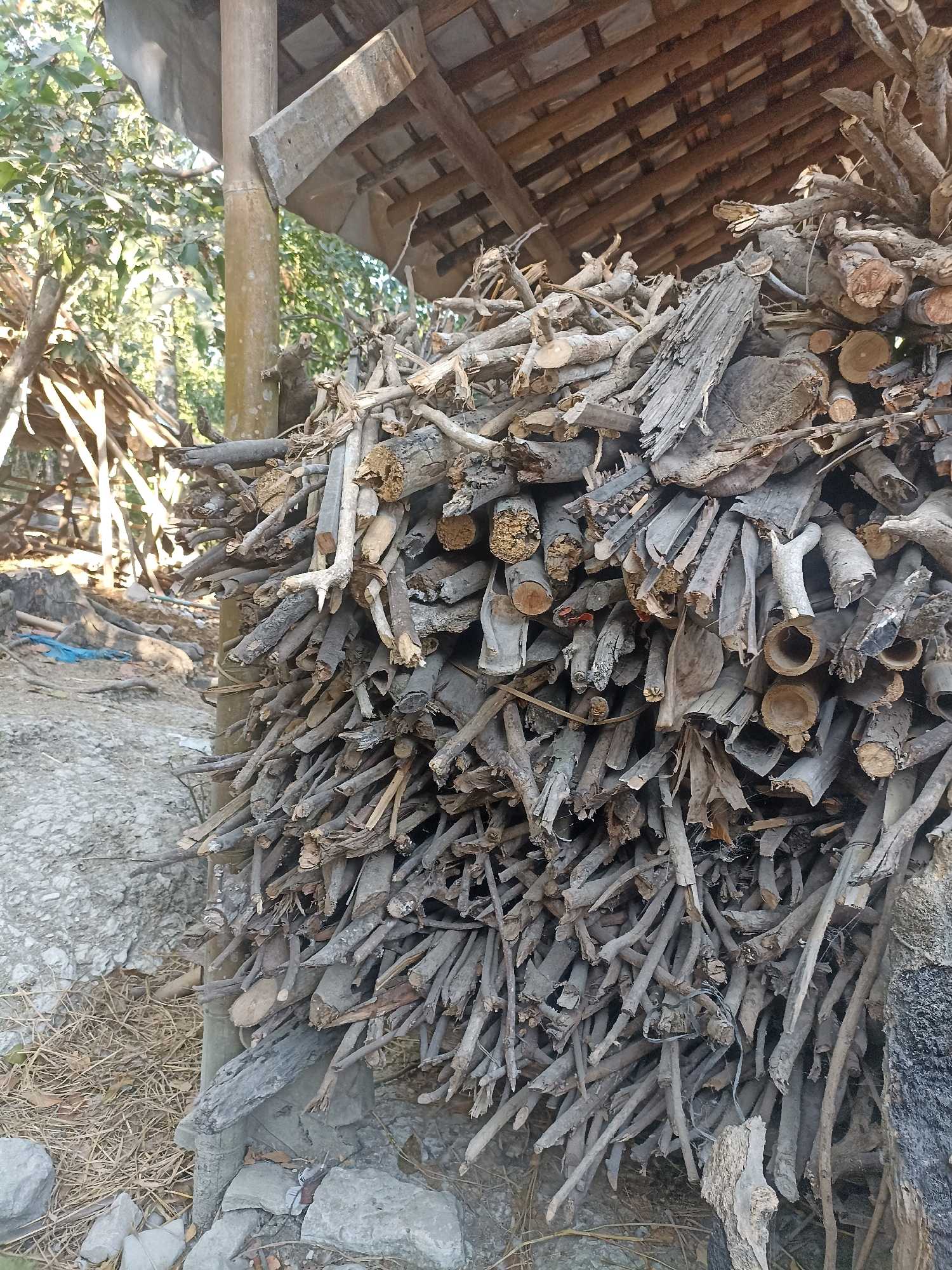 A pile of dry, grey firewood is stacked next to a wooden structure. The firewood consists of various lengths and thicknesses of branches and logs, some with visible bark and others smooth. The wood appears weathered and aged. In the background, green foliage is visible, suggesting an outdoor environment. A large grey rock is positioned to the left of the firewood, and dry leaves and twigs are scattered on the ground. The scene is illuminated by natural light.