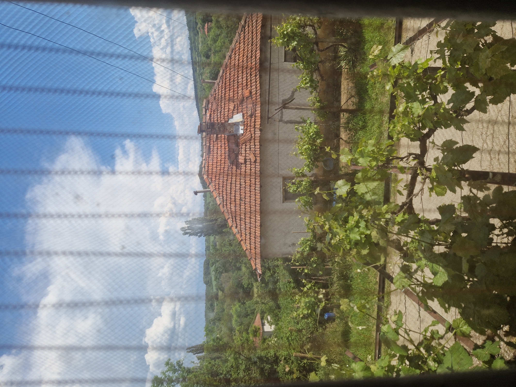 View from a window with a screen showing the exterior of a building in Raduvene, Bulgaria. The window screen obscures the view. A building with a red-tiled roof and a chimney is visible. The building has a light-colored exterior and a few windows. Vines are growing on a trellis along the side of the building. Vegetation including trees and grass surround the building. In the background, rolling hills covered in trees extend into the distance under a sky with clouds. Wires run parallel across the view.