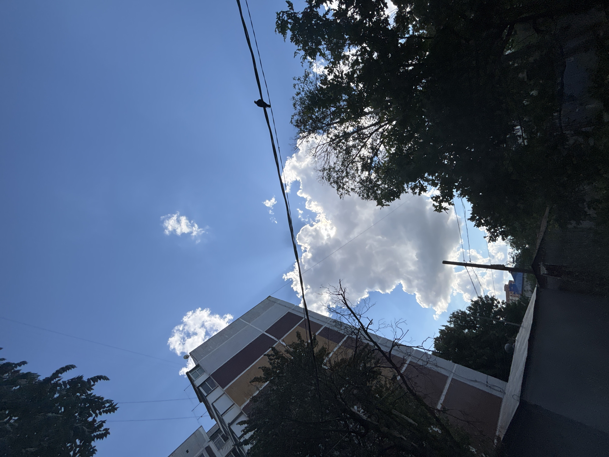The image depicts an upward-angled view of an urban scene under a bright, partly cloudy sky. The dominant subjects are a multi-story apartment building with a distinctive facade of cream, burgundy, and yellow rectangular panels, and several large, dark green trees. Power lines crisscross the sky, one of which has a small bird perched on it.
The sky is a vibrant blue, with dramatic rays of sunlight emanating from behind a large, puffy white cloud. Several smaller white clouds are scattered across the sky. The time of day appears to be daytime, likely late morning or early afternoon, given the intensity of the sunlight and the clear blue sky. The weather is sunny with some clouds.
The building's architecture, with its repetitive paneling, suggests a common Soviet-era or post-Soviet style apartment block, typical of many Eastern European cities. The trees appear dense and leafy, casting shadows. The overall impression is a slice of urban life in Krasnodar, Russia, on a pleasant day. There is no visible text in the image. The low angle of the shot and the presence of the power lines and the building create a slightly disorienting but dynamic perspective.