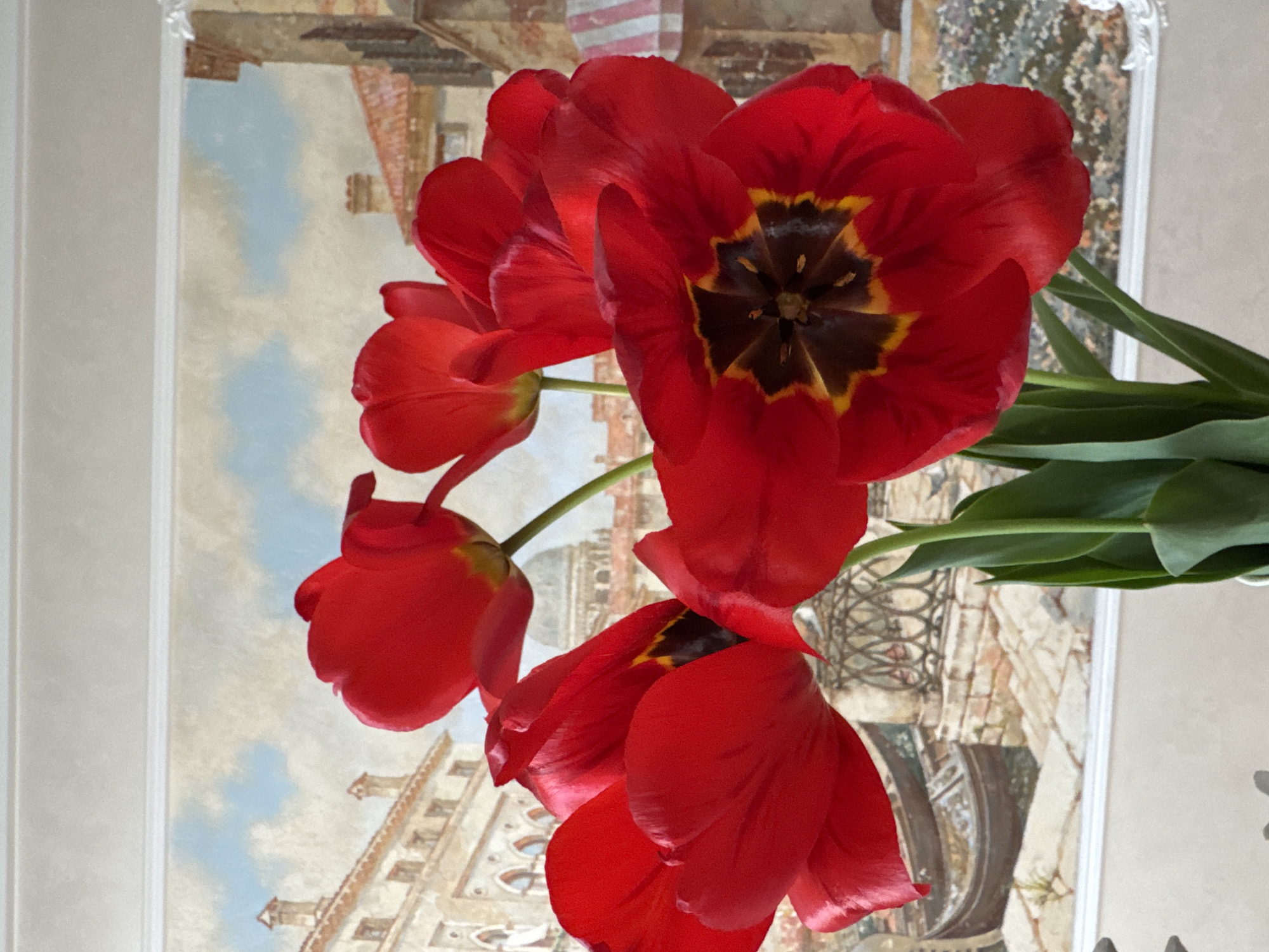 A close-up, angled shot captures a cluster of red tulips in bloom, set against a wall adorned with a painting or mural depicting a building and a sky with clouds. The tulips' petals are vibrant, showcasing variations in tone and texture. A closer inspection reveals the dark centers of the flowers, hinting at the presence of seeds or pollen. The building featured in the background appears to be of European architectural style. The details of the building appear to be stylized, indicating the location may be Saint Petersburg. The composition suggests that the tulips are indoors, possibly on a tabletop or counter near the wall.