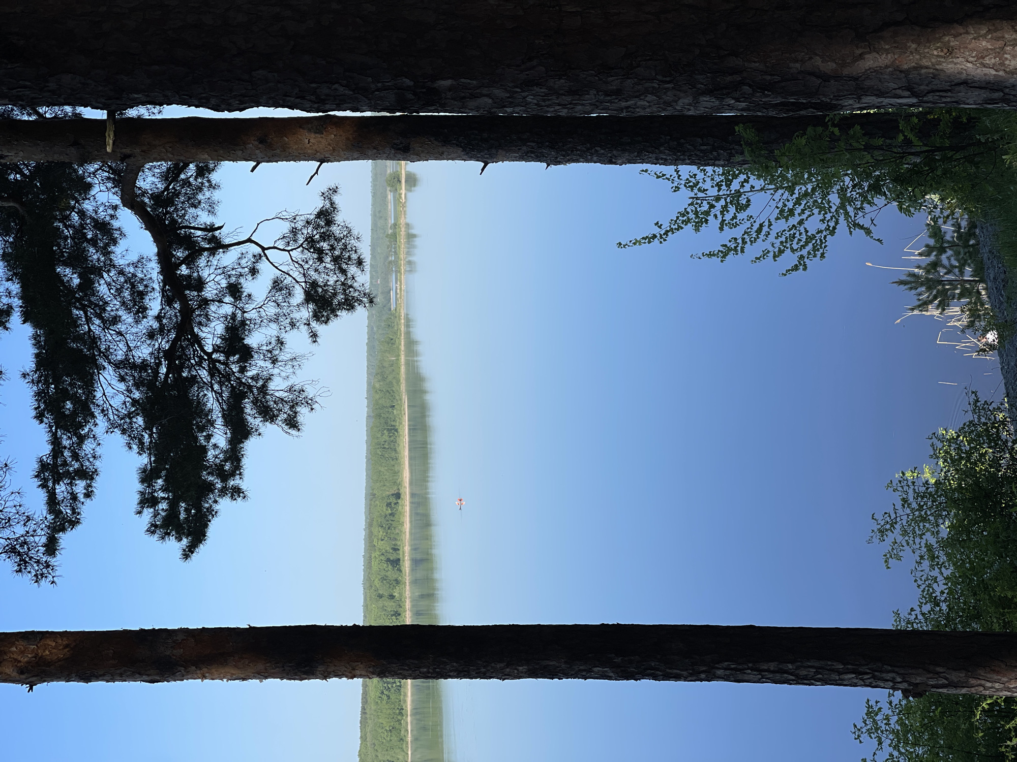 The image, possibly taken in Izhevsk, Russia, presents a horizontal view through two tree trunks situated at the top and bottom edges of the frame. The central focus is a body of water, potentially a lake or wide river, reflecting the clear blue sky above. A thin strip of green vegetation lines the opposite shore. In the water, a small orange object, perhaps a boat or buoy, is visible. Silhouetted tree branches appear on the left side of the frame, while green foliage is noticeable on the right.