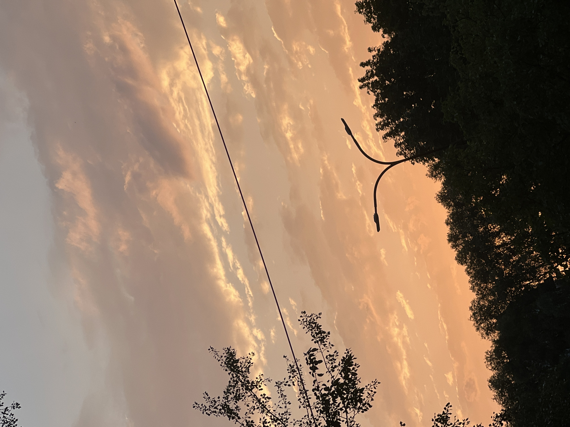 The image depicts a silhouetted tree on the left, with its branches and leaves visible against a sunset sky. A thin power line stretches diagonally across the frame. In the lower right portion of the image, a streetlamp with a curved arm is silhouetted against the sky, and below it, a dense line of trees is silhouetted. The sky is filled with clouds, illuminated by the warm hues of the setting sun, ranging from pale orange to pink and grey. The scene appears to be an outdoor urban setting, likely Warsaw, Poland, given the presence of streetlamps and power lines, and the general view of trees and sky.