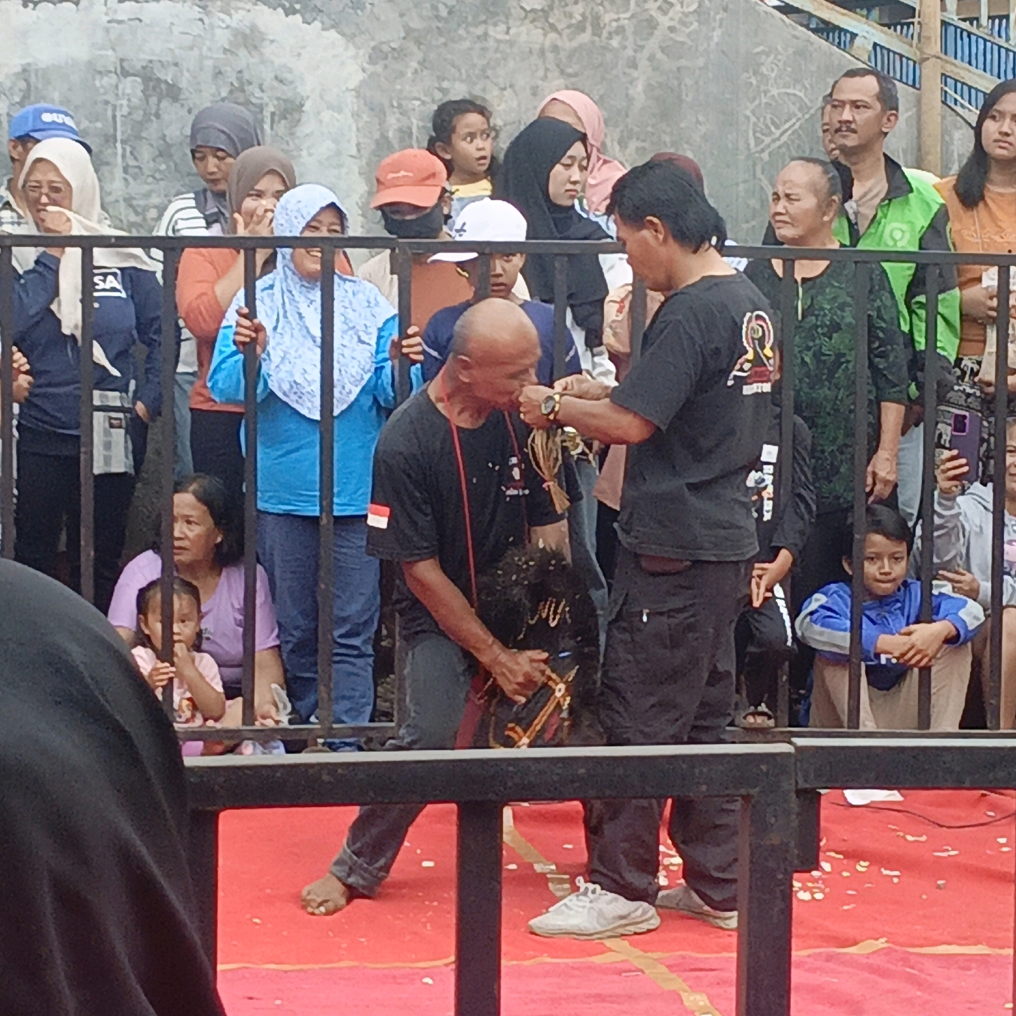This image depicts an outdoor event, likely a cultural or community gathering, with a crowd of spectators behind a metal barrier, in what appears to be the city of Salatiga, Indonesia. The focal point of the image is a man in a black t-shirt kneeling on a red carpeted area, with another man in a black t-shirt standing and interacting with him. The kneeling man is holding what appears to be a dark, possibly feathered object. His head is bowed, and his mouth is close to the object. The standing man is holding what seems to be some kind of rope or string attached to the object, and his hand is near the kneeling man's face.
The spectators are a mix of men, women, and children, many of whom are wearing headscarves, which is common attire in Indonesia. Some spectators are looking towards the central action, while others are engaged in conversation or looking away. The background shows a neutral-colored wall and some elevated structures with blue railings, suggesting an urban or semi-urban setting. The red carpet and the barrier indicate a designated performance or ceremonial area. The overall atmosphere seems to be one of observation and participation in a local event.