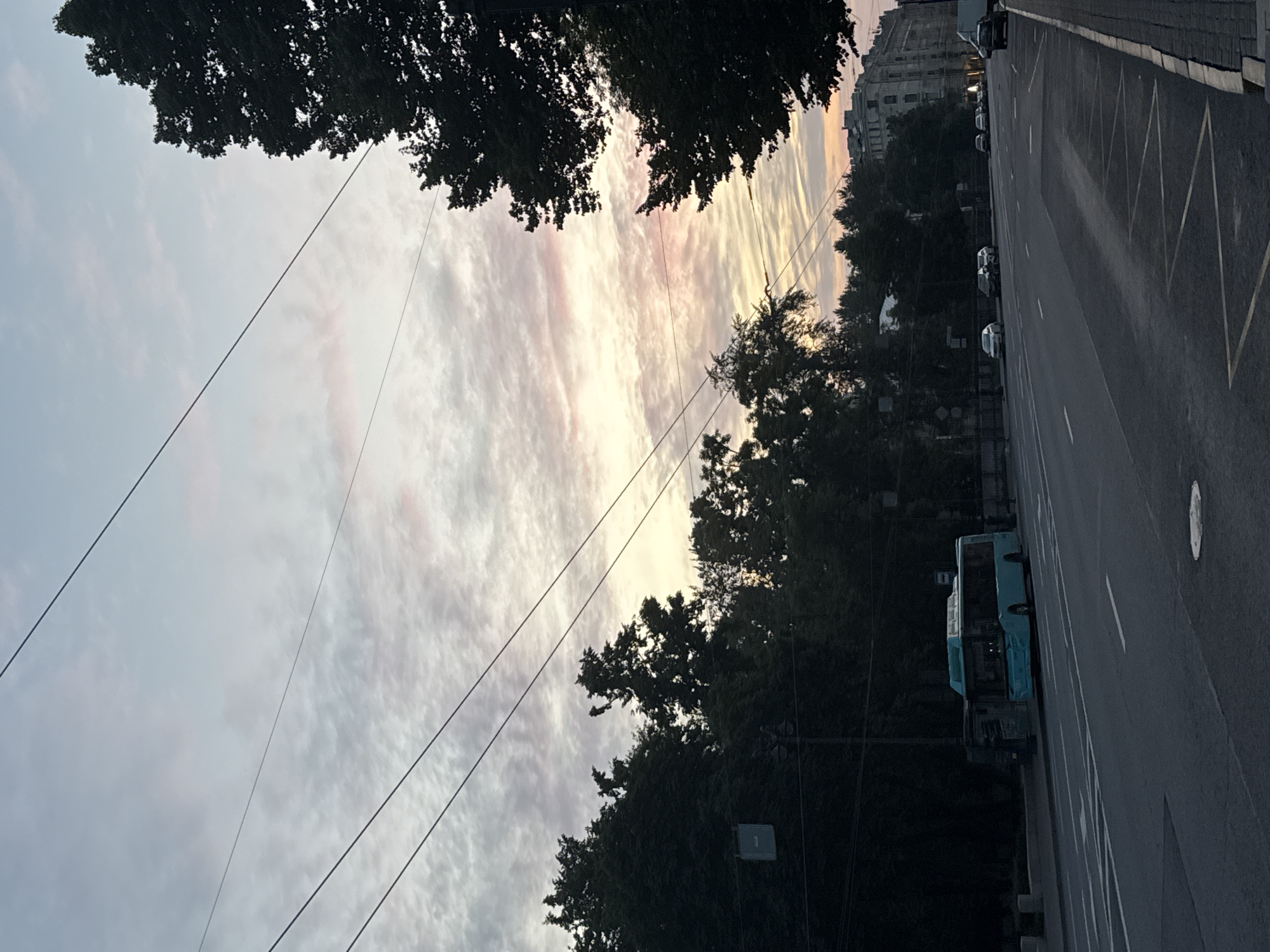This is a vertical, eye-level, outdoor photograph taken in Saint Petersburg, Russia, featuring a street scene at either dawn or dusk. The sky is filled with wispy, striated clouds, tinged with soft pinks and oranges from the setting or rising sun. Several dark wires, likely for an overhead trolleybus system, stretch across the upper portion of the frame.
In the foreground, a paved road with lane markings runs horizontally across the image. On the left side of the road, a turquoise trolleybus is parked at a stop. Behind the trolleybus and across the street, a dense line of dark green trees forms a backdrop, with hints of buildings visible through the foliage. To the right of the street, a dark-leaved tree with dense foliage frames the right side of the image, its branches extending towards the sky. Further down the street, several cars are visible, driving or parked, and a row of buildings with classic architectural features lines the far side of the road. The overall mood is serene and quiet, suggesting an early morning or late evening atmosphere in the city.