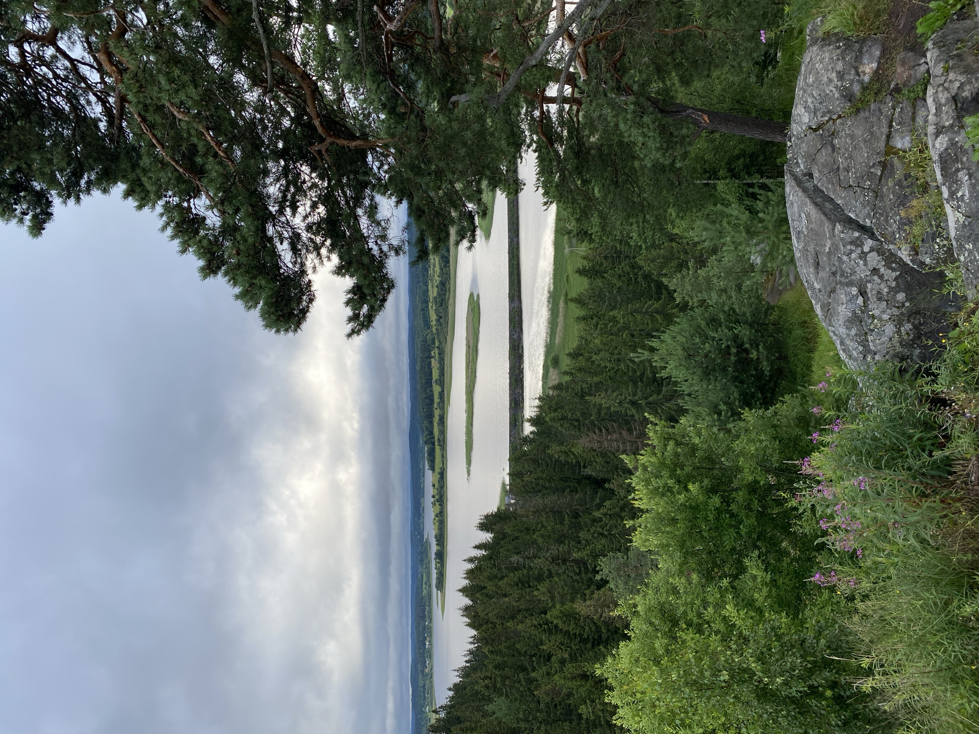 This is a vertical, medium-shot, outdoor photograph taken from a high vantage point, looking down and across a body of water. The scene is dominated by lush green foliage, a large grey rock formation in the foreground, and a wide, calm river with two elongated islands. The sky is overcast with patches of bright sunlight breaking through, suggesting it is either early morning or late afternoon.
In the immediate foreground, to the right, a large, weathered grey boulder with visible cracks and lichen growth takes up a significant portion of the frame. To the left, a large evergreen tree branches out, its needles and textured bark prominently featured. Beyond the boulder and tree, dense green forest covers the landscape.
The river is the central subject, appearing wide and serene, reflecting the sky. Two distinct, narrow islands are visible within the river, covered in grass and low vegetation. The far bank of the river is lined with more green trees and rolling hills, with hints of cultivated fields and structures in the distance, suggesting a rural or semi-rural setting.
The overall mood of the image is peaceful and natural. The light filtering through the clouds creates a dramatic effect on the water's surface. The location appears to be in a temperate climate, likely during the summer months given the verdant vegetation. There is no visible text in the image.