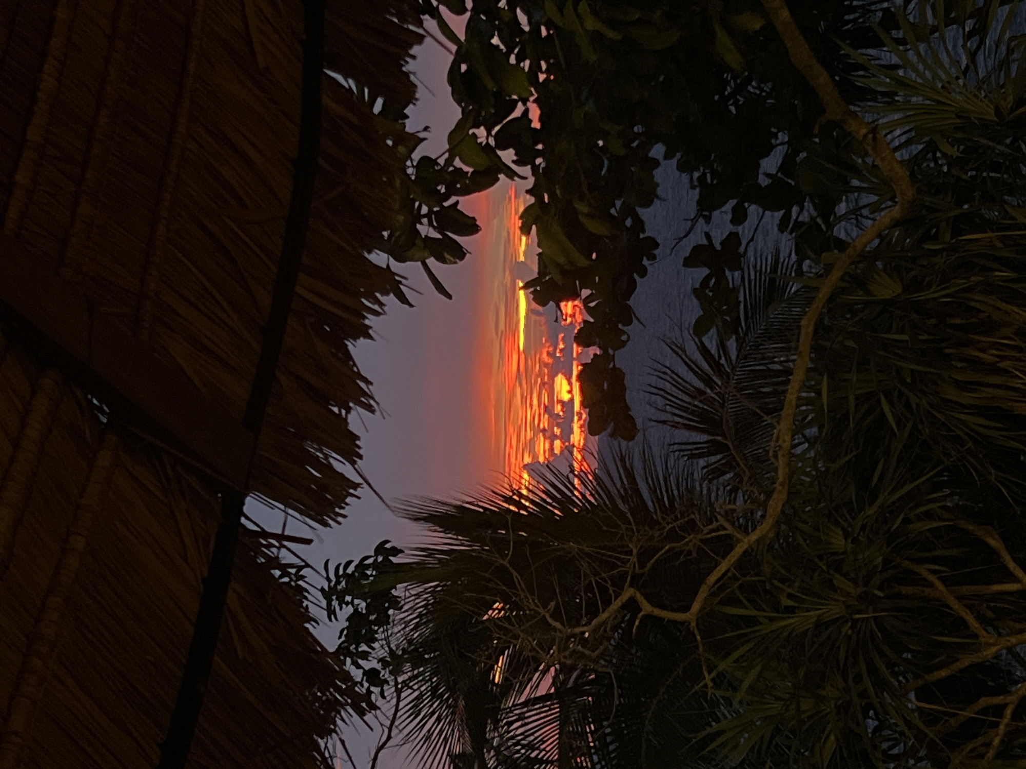 The image captures a sunset over the ocean, viewed through a tropical foliage. The sky is a gradient of deep blue at the top, transitioning to vibrant shades of orange and pink near the horizon, where the sun is setting. The sun's reflection shimmers on the water, creating bright streaks of light. Palm fronds and tree branches frame the scene, with their dark silhouettes contrasting against the colorful sky. A portion of a thatched roof is visible in the foreground on the left, suggesting a hut or cabana. The overall mood is serene and tranquil, evoking a sense of tropical relaxation. The time of day is clearly sunset. The location context of Karon, Thailand, aligns with the tropical vegetation and ocean view. There is no visible text in the image.