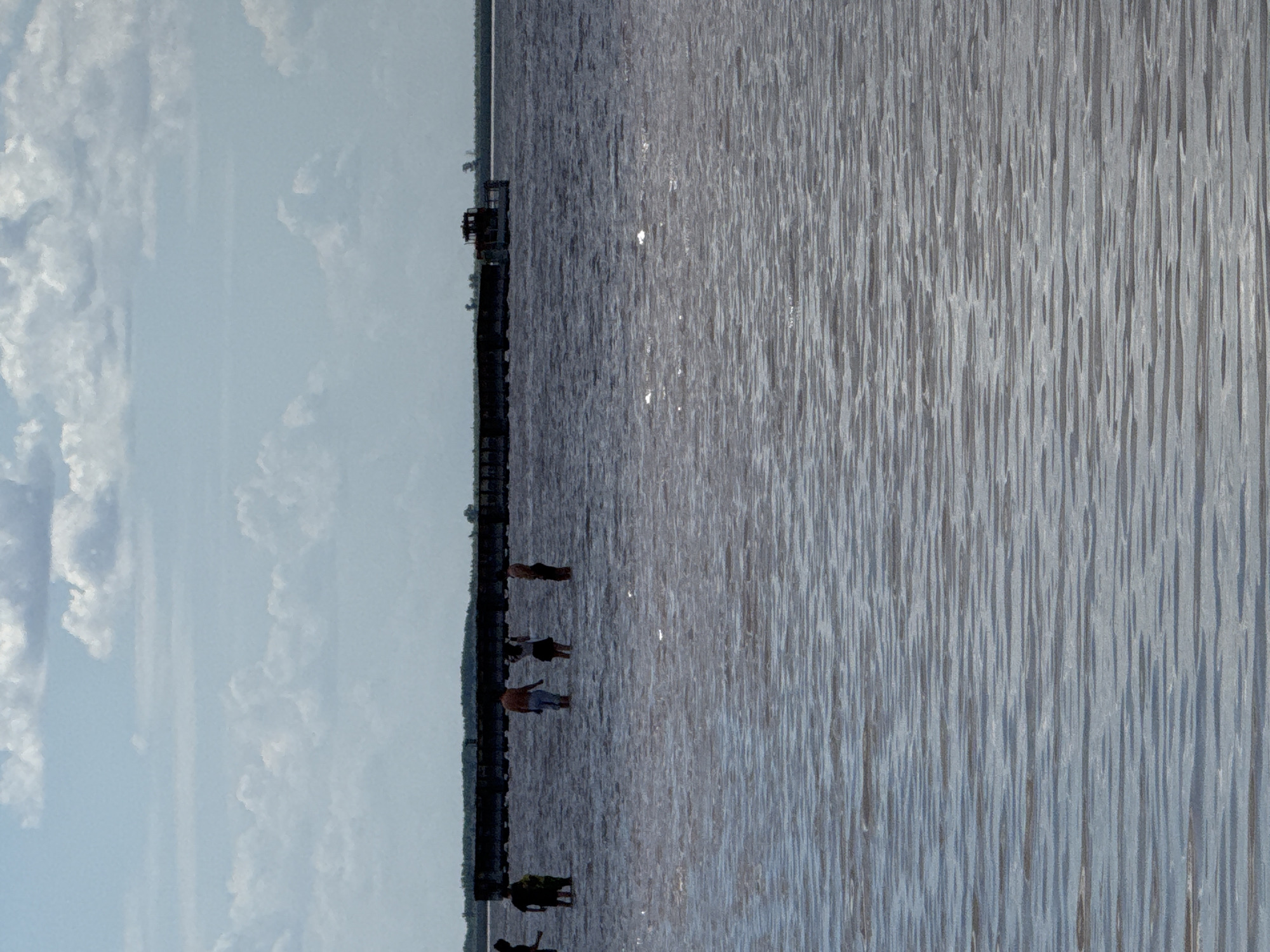 The image depicts a wide expanse of murky water, likely a river or bay, with a distant, long, dark structure resembling a pier or a series of barges. The water is rippled, with lighter patches indicating sunlight reflecting off its surface. In the middle ground, several silhouetted figures of people are wading in the water. Some are standing near the distant structure, while others are further out in the water. The sky above is a pale blue, with scattered white clouds. The scene appears to be outdoors, under daylight conditions. The location is identified as Bursol', Russia, though no specific landmarks are visible to confirm this.