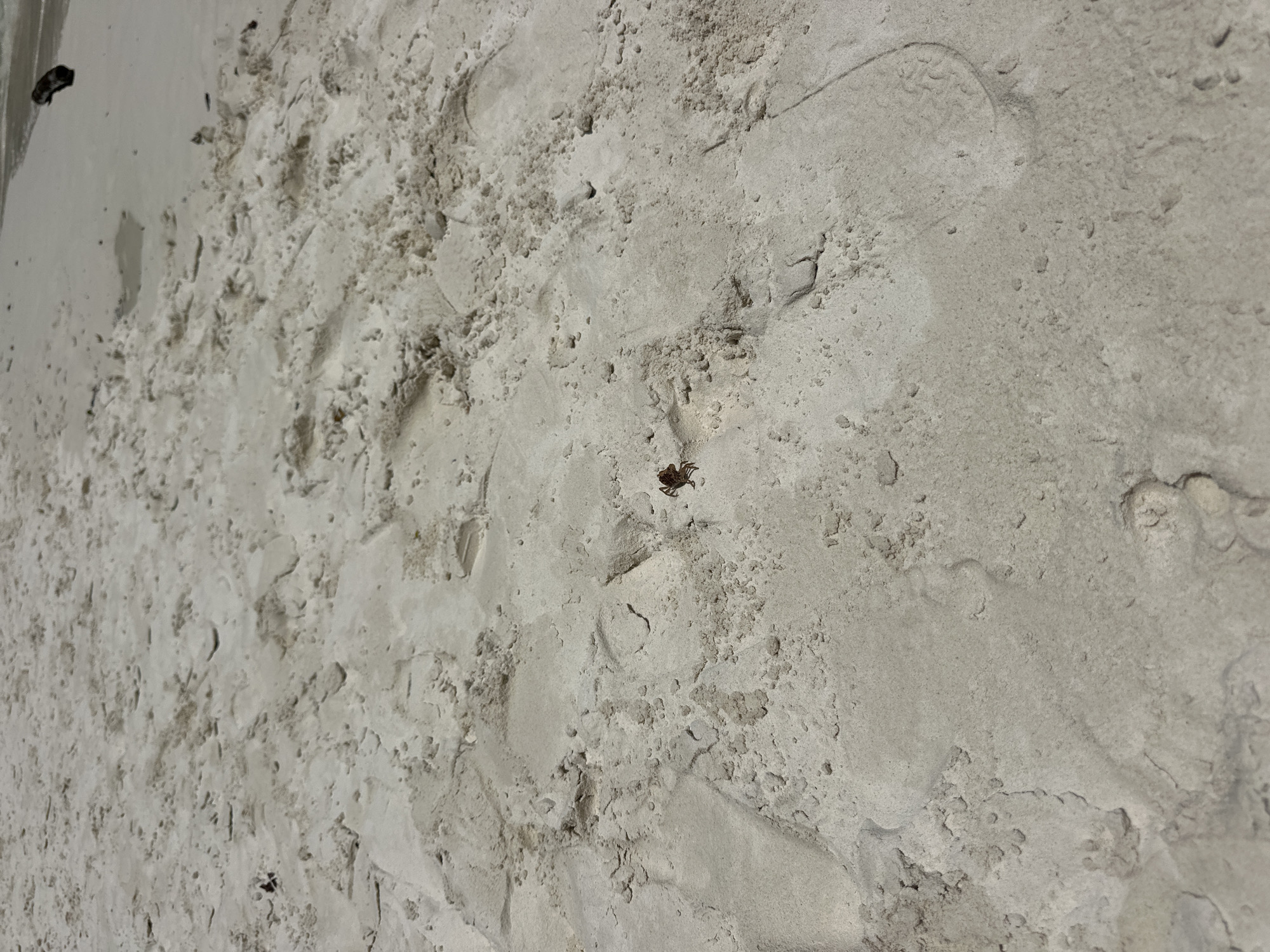 A small crab, brown in color, is visible on the sandy shore of Ao Nang, Thailand. The sand is a light beige color with visible ripples and indentations, suggesting it is a beach. The crab is positioned slightly to the left of the center of the frame and is facing towards the left. The background shows a faint indication of the water's edge and a dark object partially submerged in the water. The scene appears to be a natural beach environment.