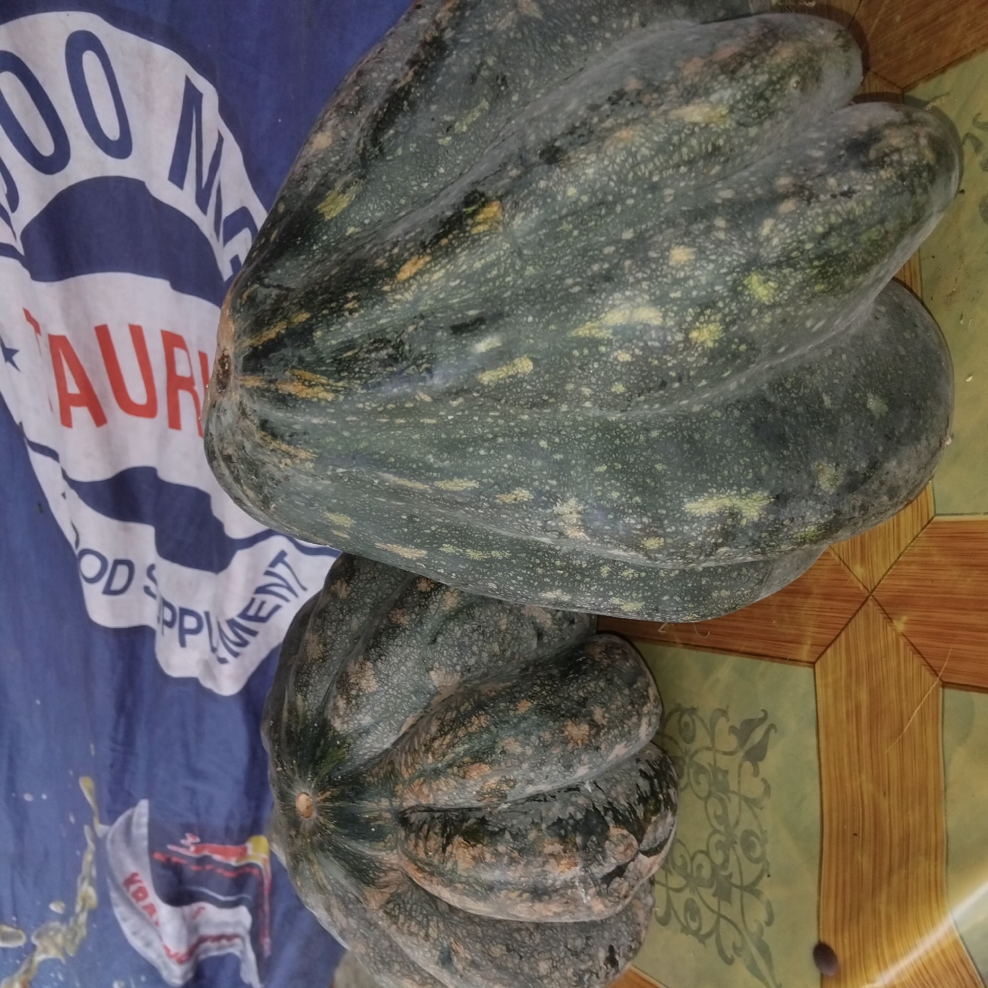 Two large, dark green gourds with prominent ridges are displayed on a patterned surface that appears to be a tablecloth or mat. The gourds have a slightly bumpy texture with lighter speckles. In the background, a blue fabric with white lettering is visible, partially obscured by the gourds. The lettering on the fabric includes the words "FOOD SUPPLEMENT" and "AUR" and "00 N". The scene is lit from above, casting subtle shadows on the gourds and the surface beneath them. The overall impression is that of a still life arrangement, possibly in a domestic setting. The location is identified as Banjarbaru, Indonesia.