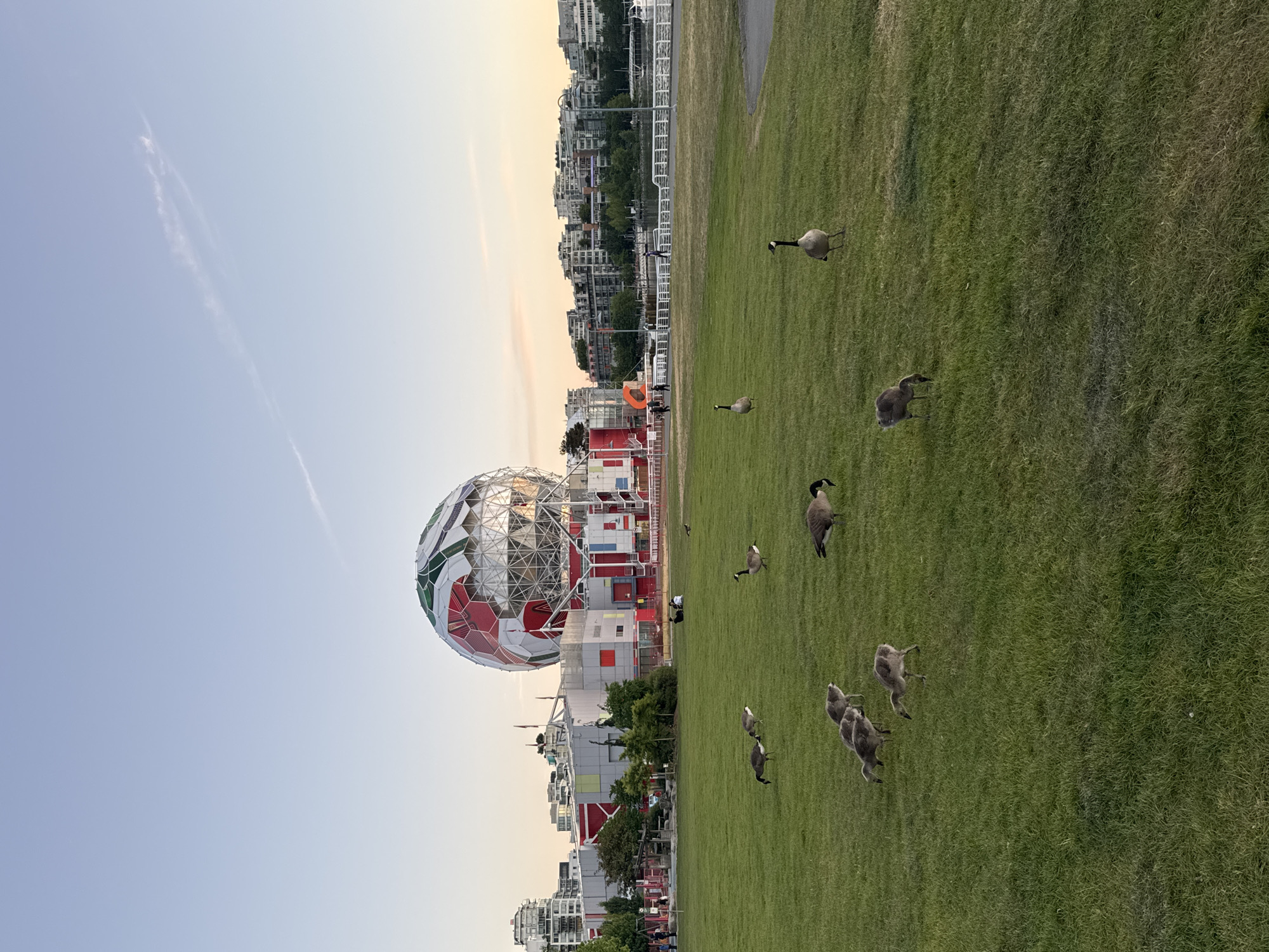 The image shows a grassy field in Vancouver, Canada, with the geodesic dome of Science World in the background. Several Canada geese are scattered across the grass. Buildings can be seen in the background, behind Science World. The sky is visible above the buildings and dome.