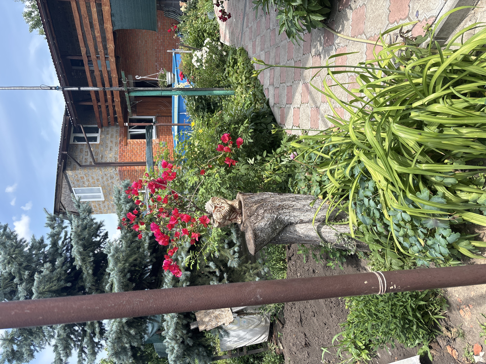A backyard scene in Zmiiv, Ukraine, on a sunny day features a two-story brick and stone house with a wooden balcony. Lush green vegetation, including a large blue spruce tree, vibrant red roses, and various flowering plants, surrounds the house. A paved pathway made of interlocking bricks with a pink and gray pattern winds through the garden. In the foreground, a brown metal pole stands vertically, partially obscuring a tree stump topped with a decorative elephant planter and a cluster of red roses. A small blue inflatable swimming pool is visible near the house, and a green shade cloth is draped over the balcony railing. The ground is a mix of dark soil and scattered debris. The sky is blue with scattered white clouds.