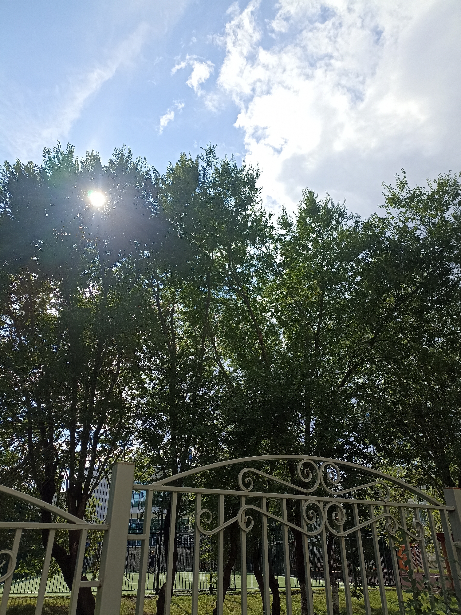 The image depicts a sunny day with a bright sun peeking through the dense green foliage of trees. A white wrought-iron fence with decorative scrollwork runs across the foreground, partially obscuring a glimpse of a building and a sports court in the background. The sky above is a vibrant blue, dotted with scattered white clouds, suggesting fair weather. The overall scene appears to be an outdoor setting, possibly a park or residential area, bathed in natural sunlight. There is no specific indication of the city of Tyumen, Russia, within the image itself.