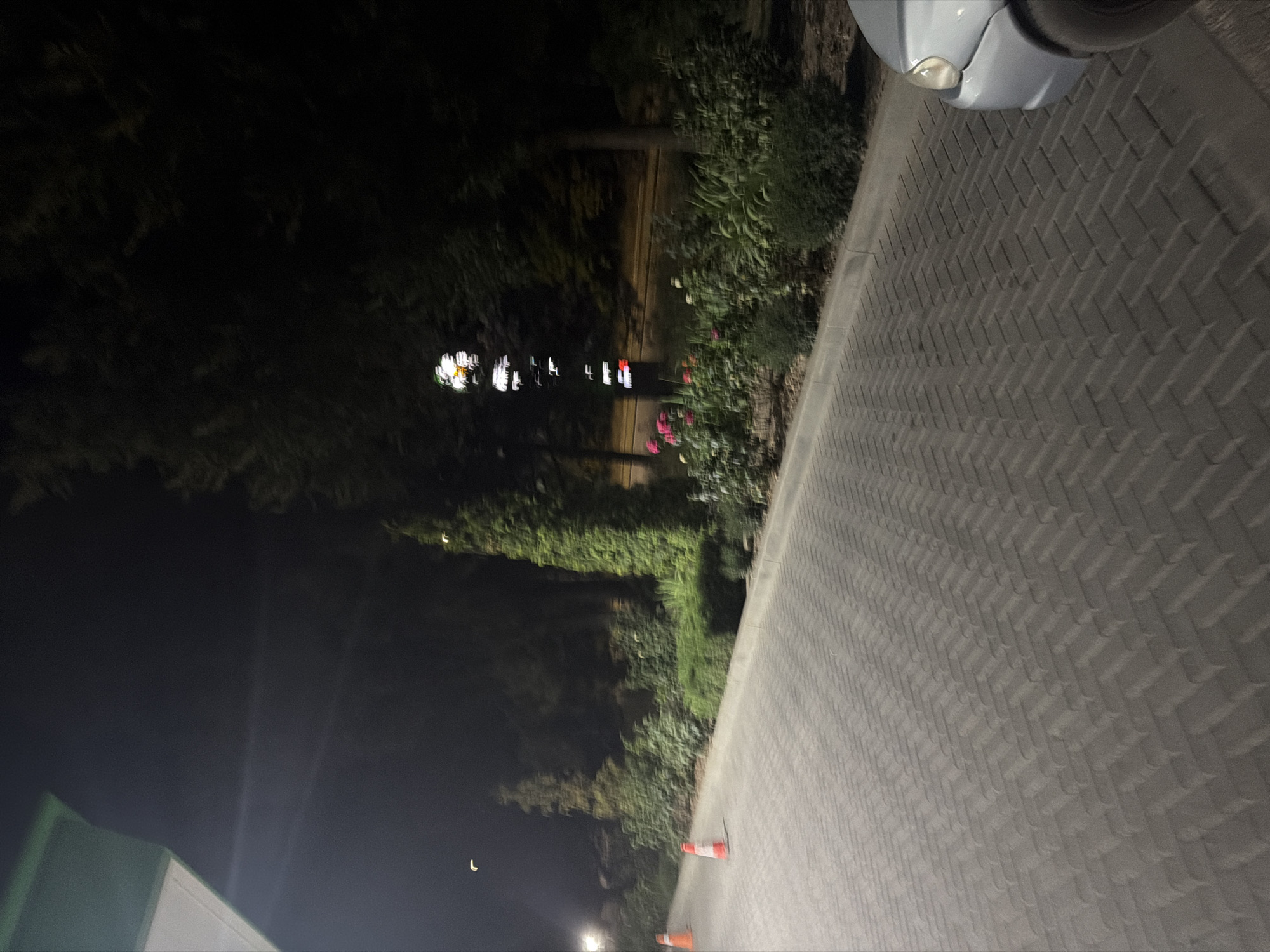 The image depicts an outdoor scene at night, likely a street or parking area in Chișinău, Moldova. The foreground is dominated by a paved surface composed of interlocking gray rectangular blocks, laid in a herringbone pattern. A section of a light-colored car is visible on the right side of the frame, with its front headlight illuminated.
To the left of the paved area, there is a curb and a strip of vegetation. This vegetation includes various plants and bushes, with some flowering plants showing pink and red blooms. Several tall, conical evergreen trees are interspersed within the landscaping. Two orange traffic cones with white reflective bands are placed on the paved surface further down the road.
In the background, trees and darkness obscure most details. A vertical structure with illuminated signage is visible, displaying what appears to be colored lights in a columnar arrangement. The overall lighting suggests a low-light environment, consistent with nighttime. The impression is one of a public area, possibly near a commercial establishment or along a road.