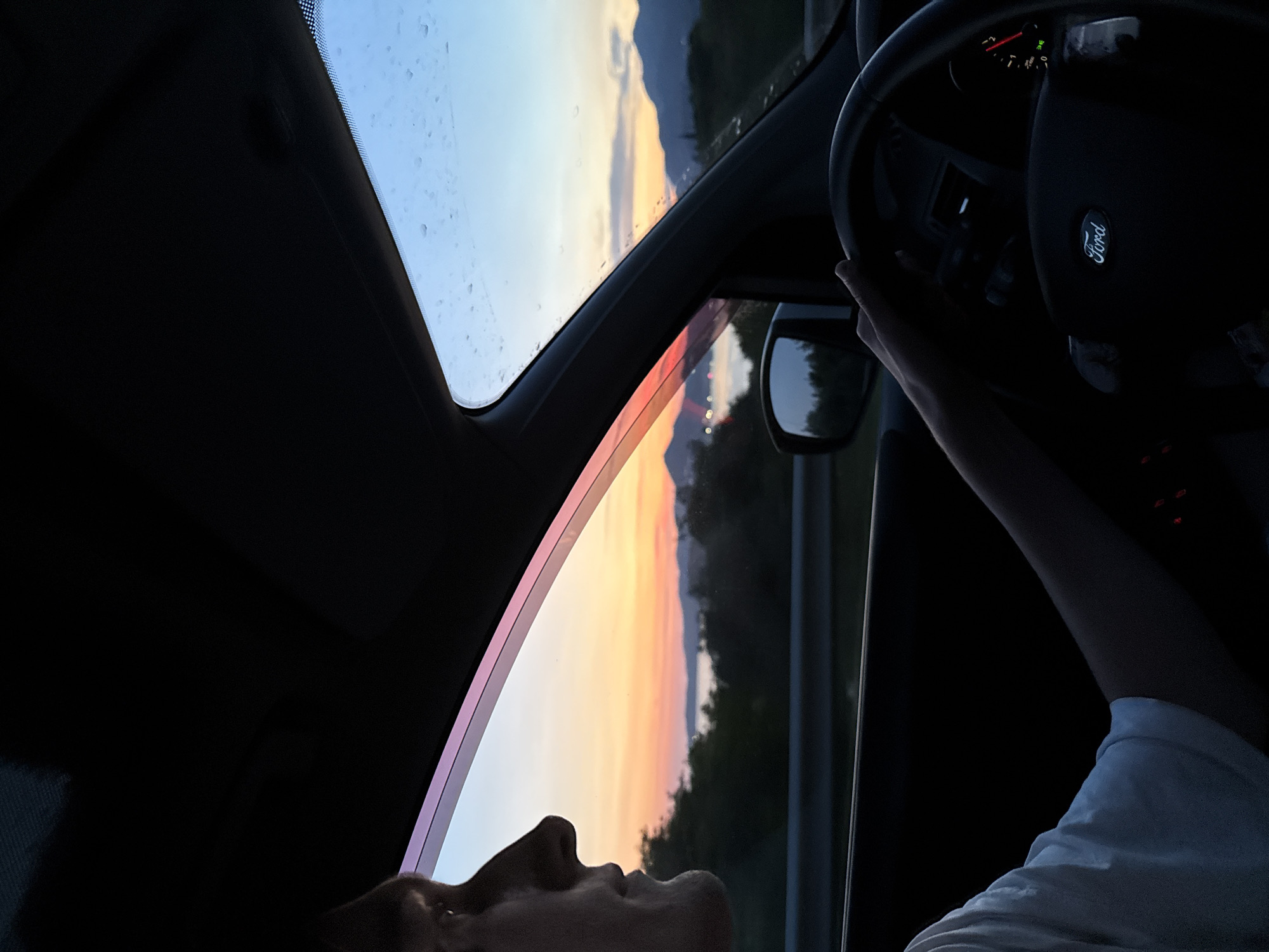 A side profile of a person driving a car at dusk is shown. The person is wearing a white t-shirt and their left hand is on the steering wheel. The steering wheel has a Ford logo on it. The car's dashboard has a circular gauge visible. Outside the car, a sunset is visible with orange and pink hues in the sky, over a body of water and distant hills. The car appears to be on a road with some greenery and water visible.