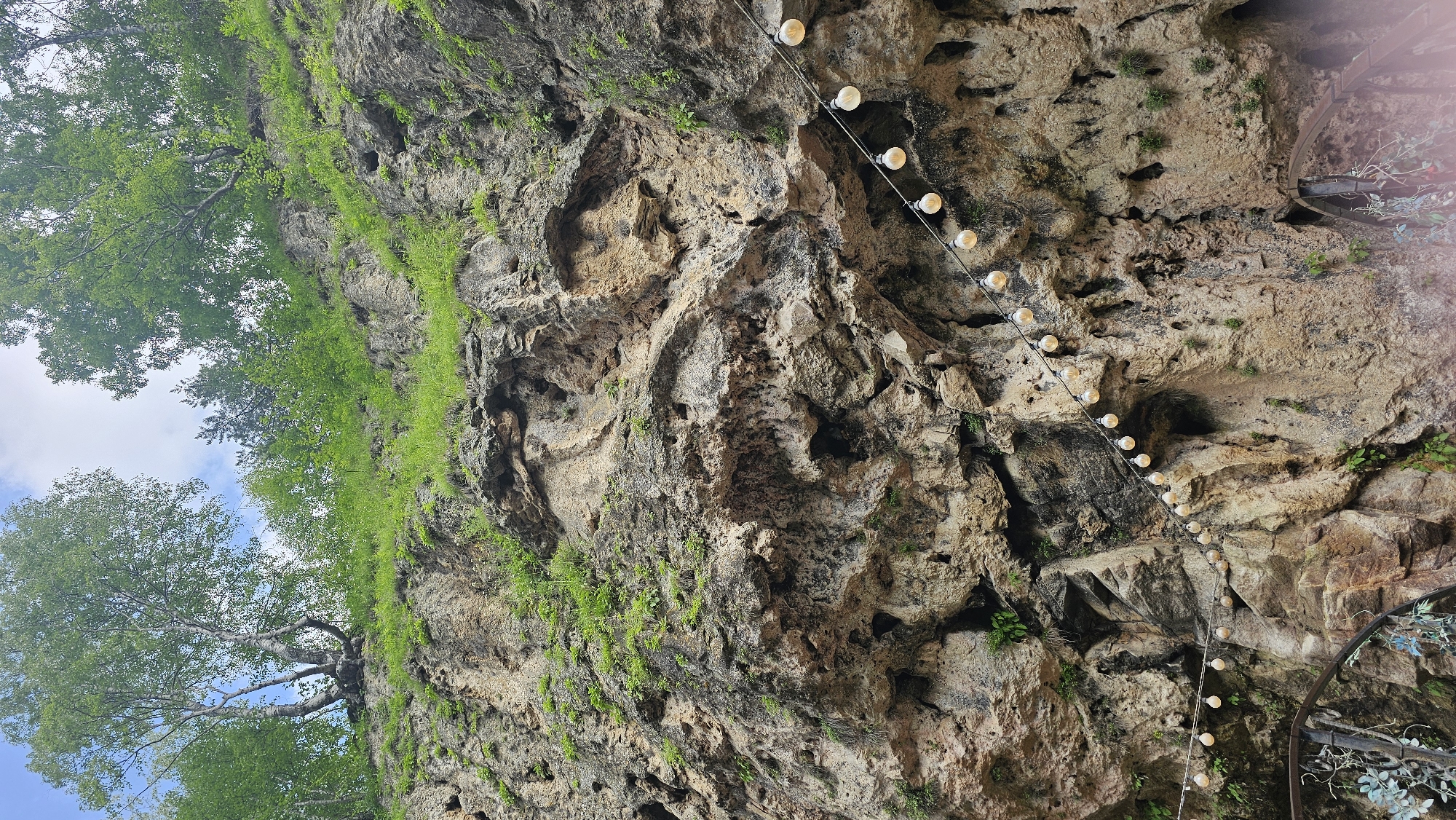 The image depicts a natural rock cliff face with sparse vegetation growing on its ledges and in crevices. A string of incandescent light bulbs, strung on a wire, hangs diagonally across the lower portion of the cliff. At the very bottom of the frame, a portion of an ornate metal structure, possibly a gate or railing with artificial vines, is visible. The top of the cliff is adorned with lush green trees, their branches reaching towards a partly cloudy sky. The scene appears to be located in a natural outdoor setting, possibly a park or a hiking area, within the city of Krasnyy Kurgan, Russia. There are no people visible in the image.