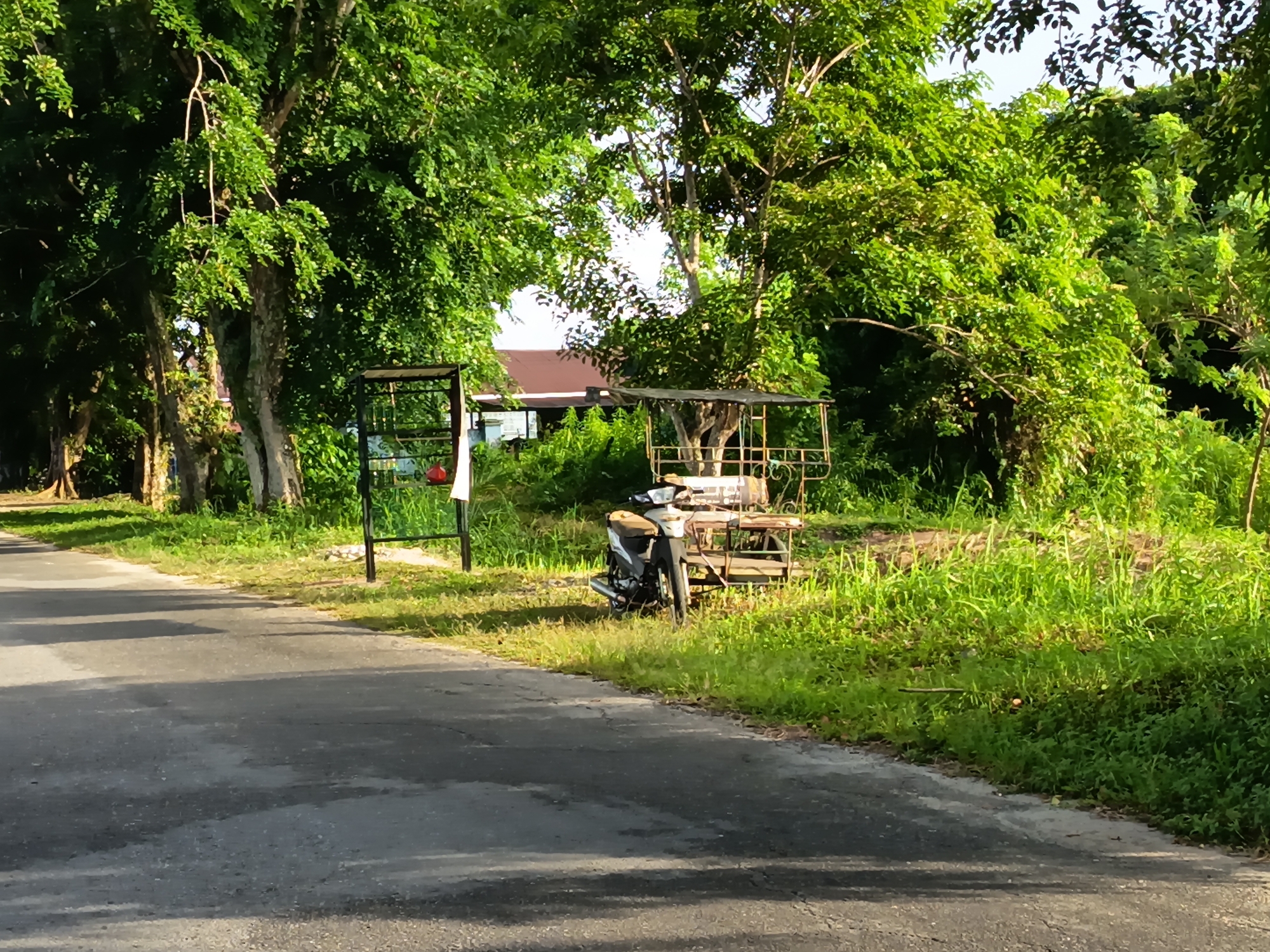 The image depicts a roadside scene in Pulausarok, Indonesia, under a bright, possibly midday, sun. A paved road runs diagonally from the lower left to the upper right of the frame. Along the right side of the road, lush green grass and vegetation grow abundantly.
Dominating the foreground on the right is a motorcycle parked on the grass verge. It is a dark-colored motorcycle with some silver accents, facing slightly to the left and angled towards the road. Behind the motorcycle, there is a rustic, open-sided shelter or cart made of metal framing and possibly wood, with a faded canopy.
To the left of the motorcycle and shelter, there is a tall, slender black metal frame structure, possibly a signpost or a part of a larger structure that is out of frame. A small red object is visible attached to this structure.
Further in the background, through the dense green foliage of large trees that line the road, a building with a reddish-brown roof is partially visible. The trees are verdant and cast shadows on the road, indicating the direction of the sunlight. The overall environment appears to be a rural or semi-rural setting, characterized by abundant vegetation and a tranquil atmosphere. There are no people visible in the image.