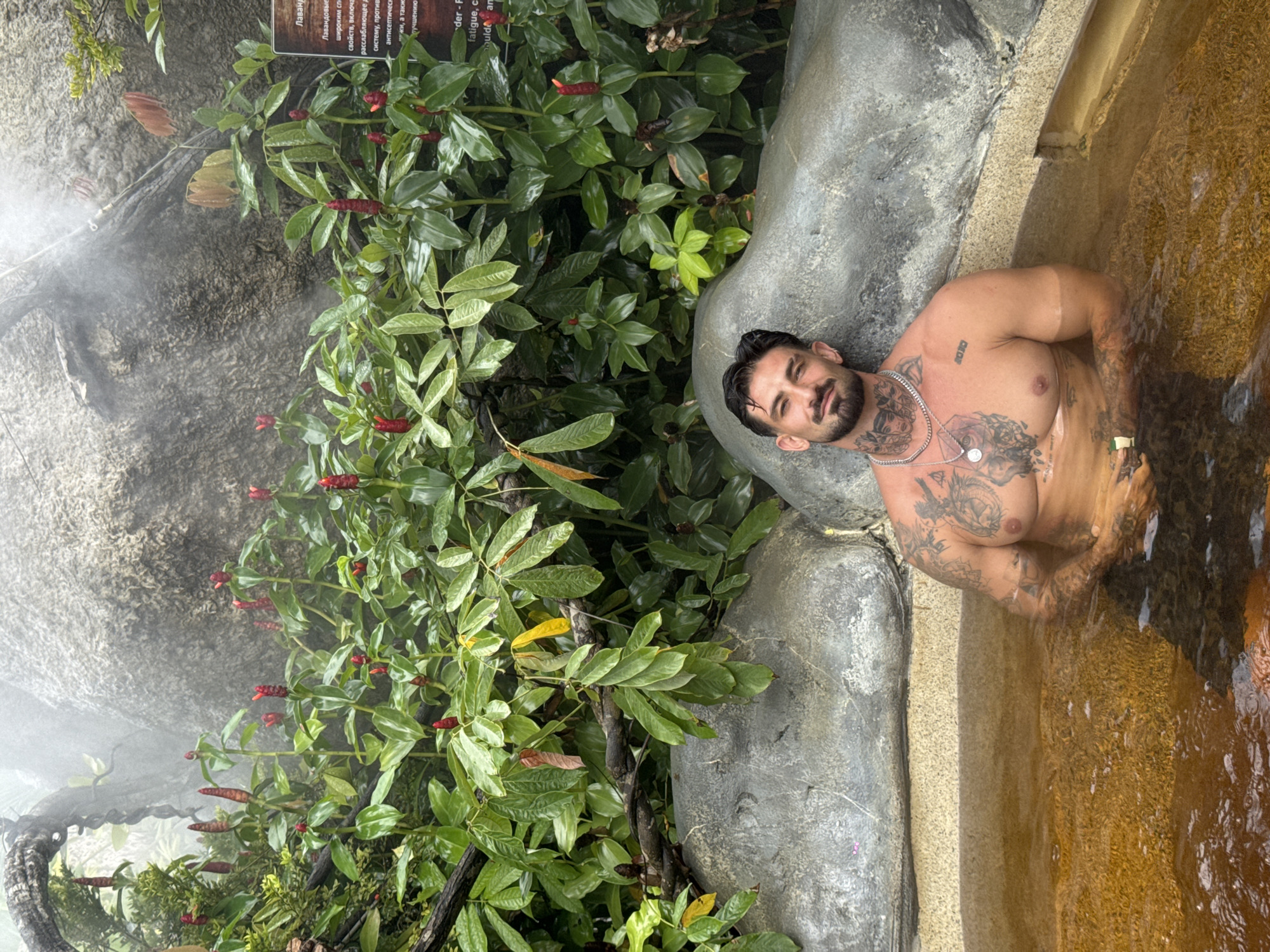 Here is a detailed description of the image:
**Location:** This image appears to be taken at a spa or a natural hot spring, possibly in a tropical or subtropical location. Based on the information provided, it is potentially located in the city of Ban Khlong Khian บ้านคลองเคียน, Thailand.
**People:** The primary subject is a shirtless man with tattoos. He has a beard and appears to be relaxed.
**Environment:** The scene is lush with greenery. The man is in water, possibly a hot spring or bath of some kind. There are large grey stones or concrete structures around the water. Additionally, mist or steam is present, adding to the ambiance of a natural, relaxing environment.
**Subjects and Objects:**
* The man himself with tattoos.
* Water which may be from a hot spring.
* Lush, tropical greenery and red-flowering plants.
* Grey stones or concrete forming the edge of the bath.
* A sign with text on it, possibly containing information about the plants or spa.
* A chain around the man's neck.
**Actions/Interactions:** The man is relaxing in the water, leaning against the side.
Overall, the image depicts a scene of relaxation in a natural spa-like setting, with the man as the central figure enjoying the tranquil environment.
