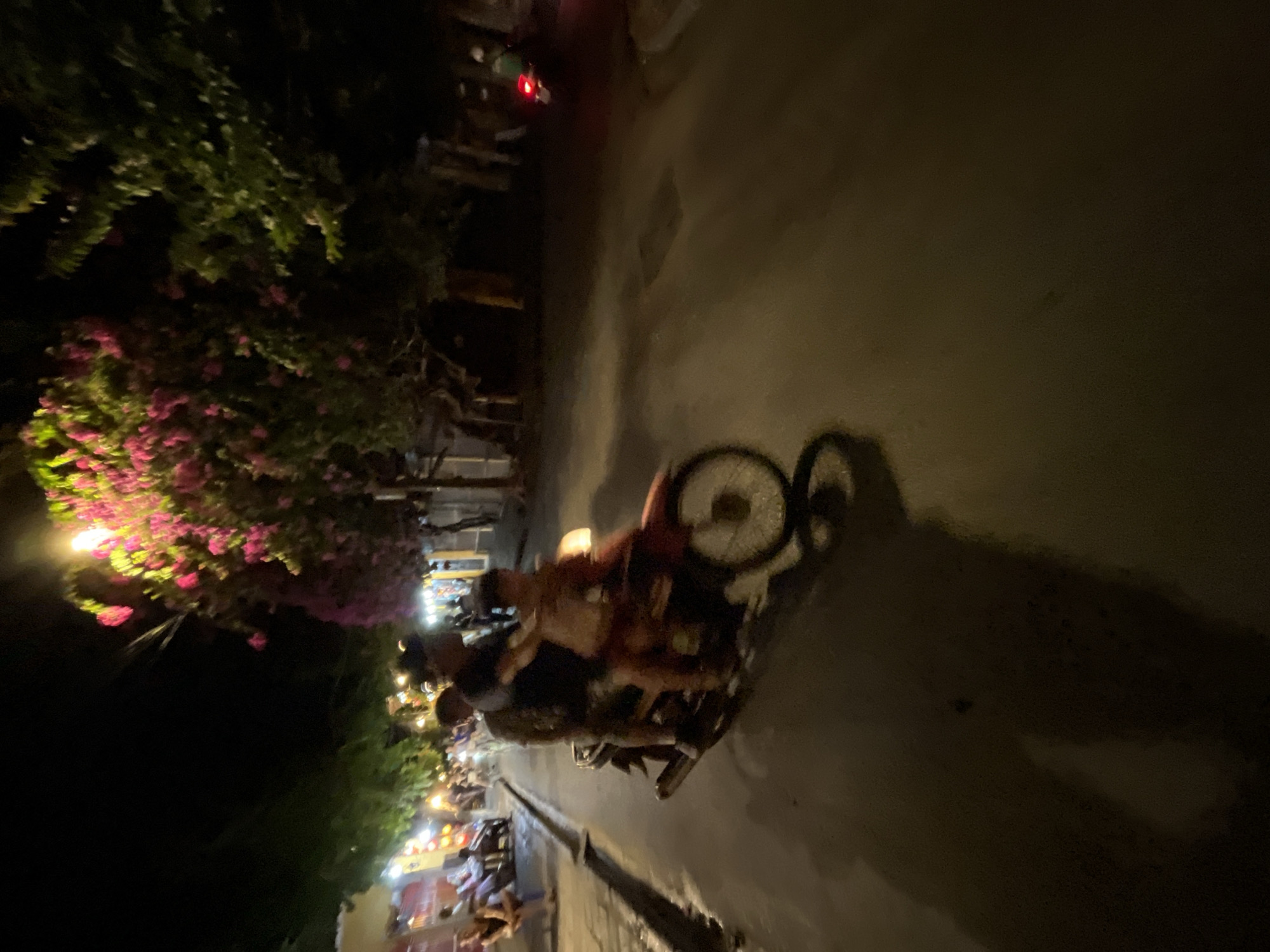 A nighttime scene captures a family of three riding a red motorbike on a paved street in Hội An Ward, Vietnam. The father, wearing a dark shirt and cap, drives the motorbike. His son, wearing a light-colored shirt, sits in front of him, while his mother, in a dark top, rides behind the father. The motorbike's headlight is on, illuminating the road ahead. In the background, a street lined with trees and buildings is visible. The trees are adorned with vibrant pink flowers, likely bougainvillea, which are illuminated by streetlights. People are seen sitting on benches and walking along the sidewalk, suggesting a lively evening atmosphere. The scene is blurry due to motion, indicating the photograph was taken while the motorbike was in motion. The overall lighting is dim, characteristic of a nighttime setting in a city.