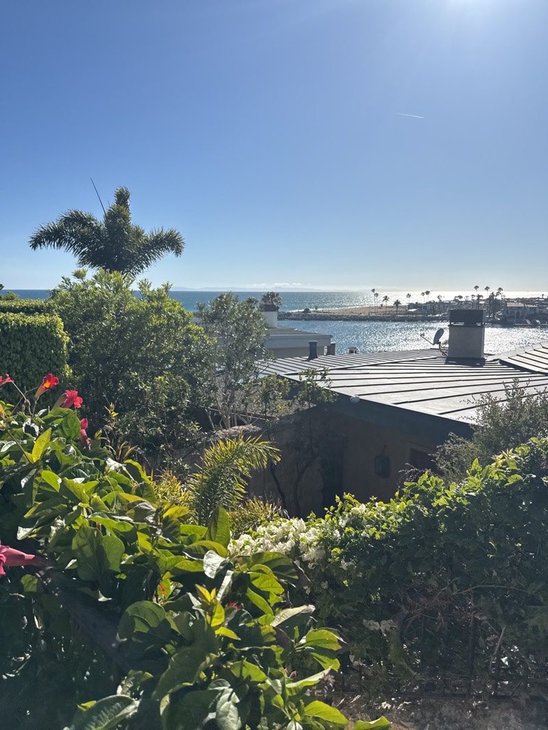 The image presents a vibrant view in Newport Beach, United States, overlooking a harbor towards a beach. The scene is observed from an elevated position, possibly a garden or balcony, defined by lush green vegetation with pops of red and white flowering plants in the foreground. A palm tree punctuates the mid-ground, rising above the adjacent buildings. The architecture includes buildings with visible rooftops, one bearing a chimney and satellite dish. The harbor, reflecting sunlight, leads the eye to the beach lined with palm trees. The clear blue sky contains a contrail, suggesting the recent passage of an aircraft.