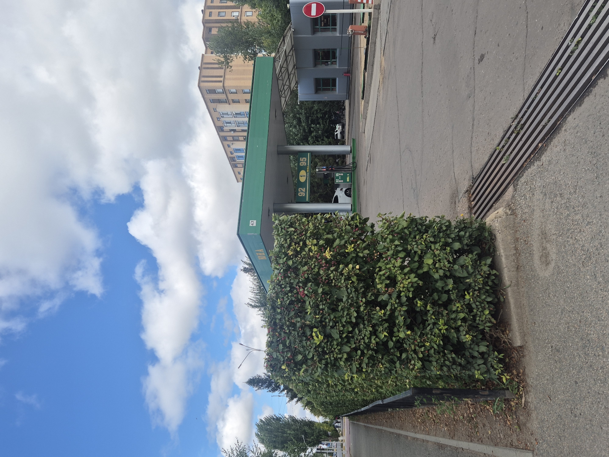 The image shows a gas station in Kokshetau, Kazakhstan. The gas station has a green canopy over the pumps, and displays prices for gasoline. A white car is parked at one of the pumps. There is a building behind the gas station that appears to be an office or convenience store. In the foreground, there is a thick hedge of green bushes with red berries, and a black metal fence. A street is visible to the left of the hedge, with trees and buildings in the background. The sky is blue with white clouds. The overall scene depicts a typical urban gas station environment.