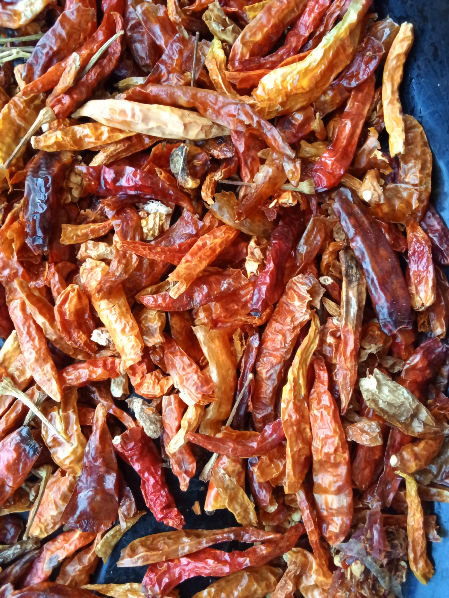 A pile of dried red chili peppers is shown in close-up, filling the entire frame. The peppers vary in color from deep red to a lighter orange and brown, with some appearing shriveled and others more plump. They are arranged haphazardly, overlapping each other. The background is a dark, slightly textured surface. There are no people or any discernible city elements visible in the image. The scene is an indoor or still life arrangement of dried chilies, not a street scene in Dongo, Nigeria.