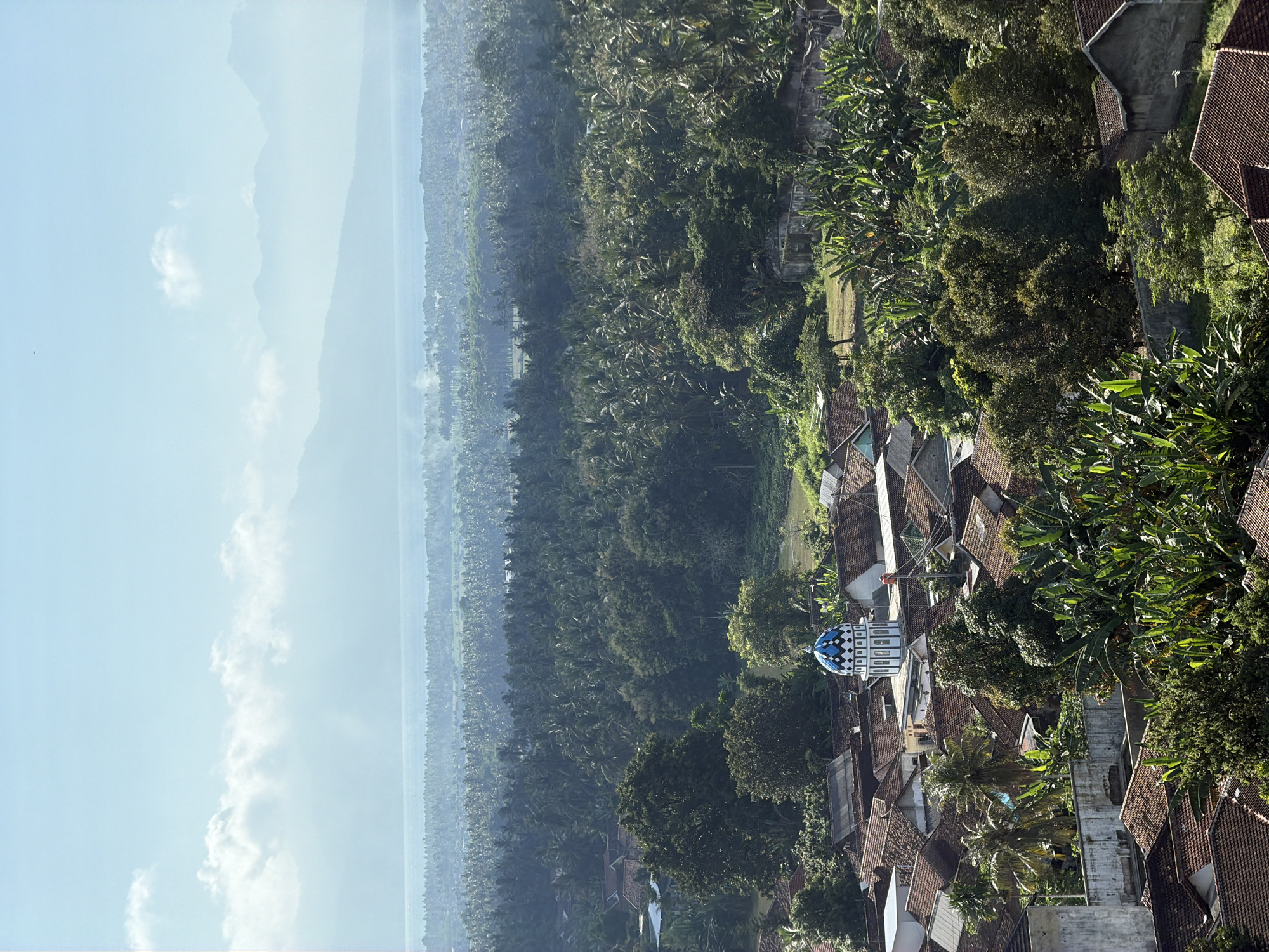 This is an elevated, wide-angle, medium shot of a village scene in Dadapan, Indonesia, captured during daylight. The image depicts a densely vegetated landscape with numerous palm trees dominating the mid-ground and foreground. In the lower section of the image, a cluster of traditional Indonesian houses with terracotta tile roofs are visible. A prominent building, likely a mosque, stands out with its blue and white domed structure. The background reveals a hazy expanse of more trees, a body of water, and distant mountains under a pale blue sky with scattered white clouds. No people or animals are clearly discernible in the frame. The overall atmosphere is serene and suggests a rural or semi-rural setting.