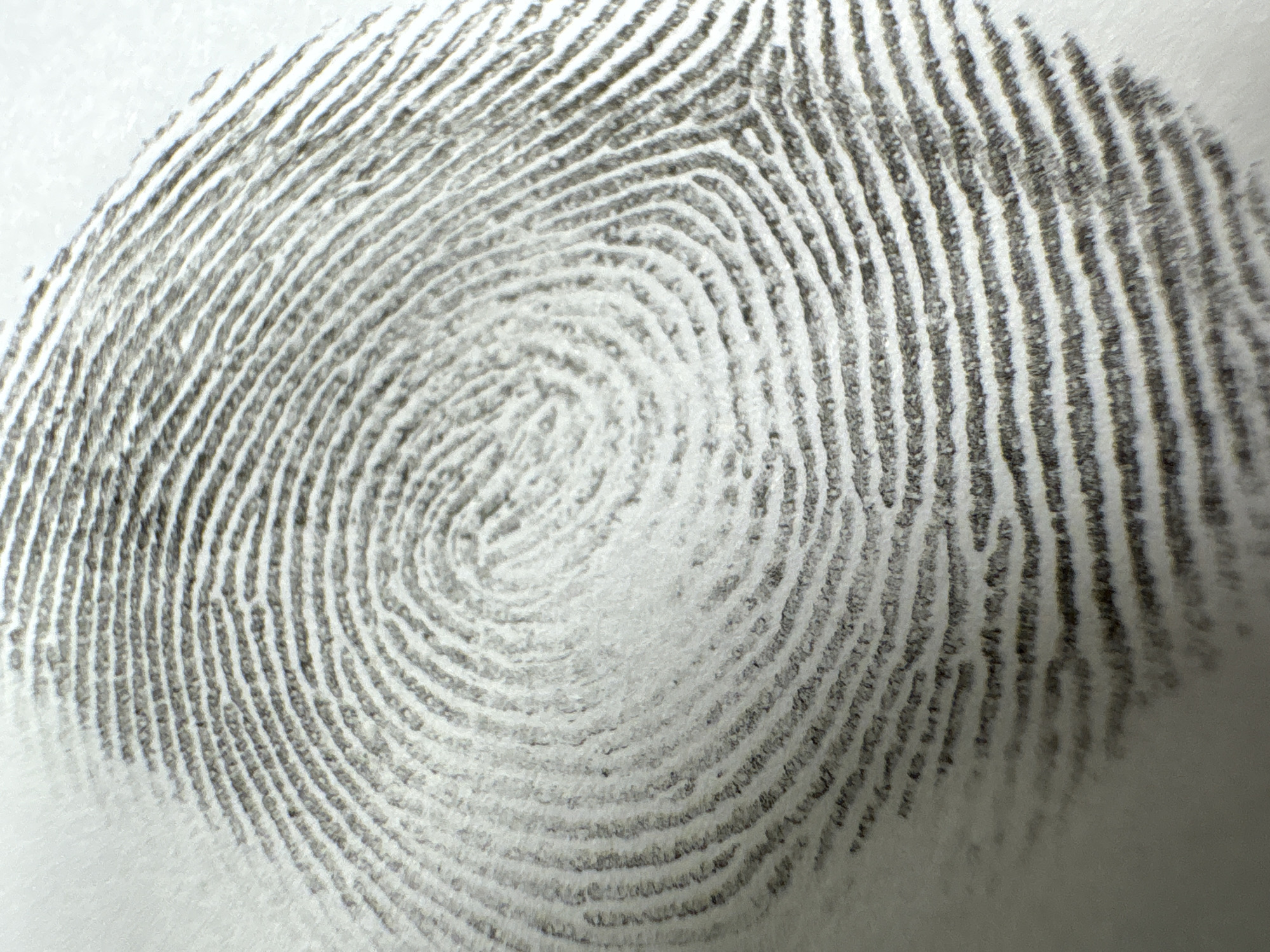 The image shows a close-up of a fingerprint on a white surface. The fingerprint pattern appears to be a whorl, characterized by circular ridges around a central point. The ridges are dark grey, contrasting with the lighter background. There is no indication of the image being in Barcelona, Spain. The scene is limited to the fingerprint itself.