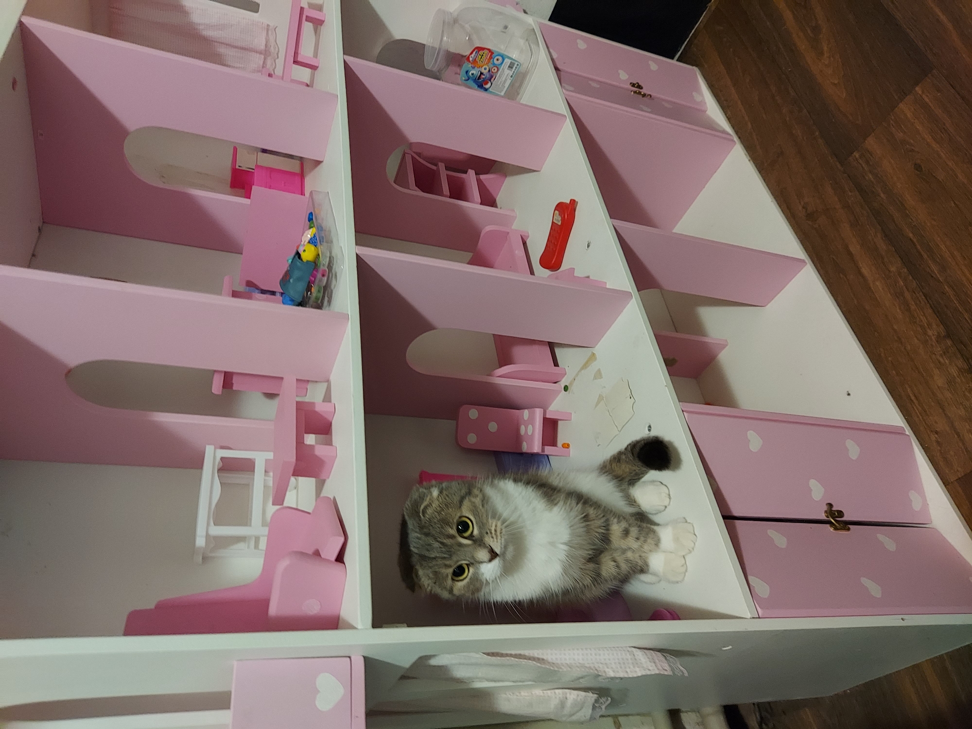 A Scottish Fold cat with grey, white, and brown tabby markings, distinctive folded ears, and yellow eyes sits upright on the white shelf of a multi-level dollhouse-style shelf unit. The cat's white chest and paws are prominent. The dollhouse is predominantly white with numerous pink interior partitions forming arches and rooms, along with various miniature pink and white furniture pieces including armchairs, tables, chairs with polka dots, and a bench. In the upper-middle section, a clear plastic container holds small colorful toys. In a lower compartment, a red toy phone is visible, and to the right, a large clear plastic jar featuring "Disney Pixar Cars" characters stands. The bottom section of the dollhouse has two pink cabinet doors decorated with white hearts, secured by a small brass latch. A white cloth or towel hangs to the left of the dollhouse. The floor beneath the unit is composed of dark brown wooden planks. The background wall is white. The scene is located in Unknown, Unknown.