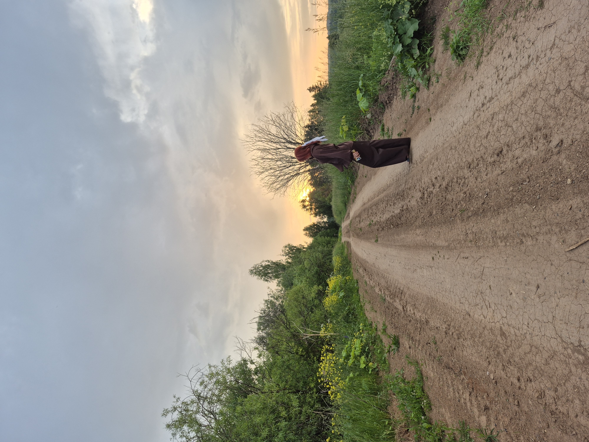 A lone person in a brown abaya and red hijab stands on a dirt road in Doinaya, Russia, looking towards a sunset that casts a warm glow over the landscape. The road, which stretches into the distance, is flanked by lush green trees and fields, with a few scattered wildflowers adding pops of yellow. The sky is a mix of grey clouds and soft orange hues from the setting sun, creating a serene and tranquil atmosphere. The person appears to be holding a phone in their right hand, and their left hand is slightly extended, possibly gesturing or balancing. The overall scene evokes a sense of peace and contemplation amidst the natural beauty of the Russian countryside.