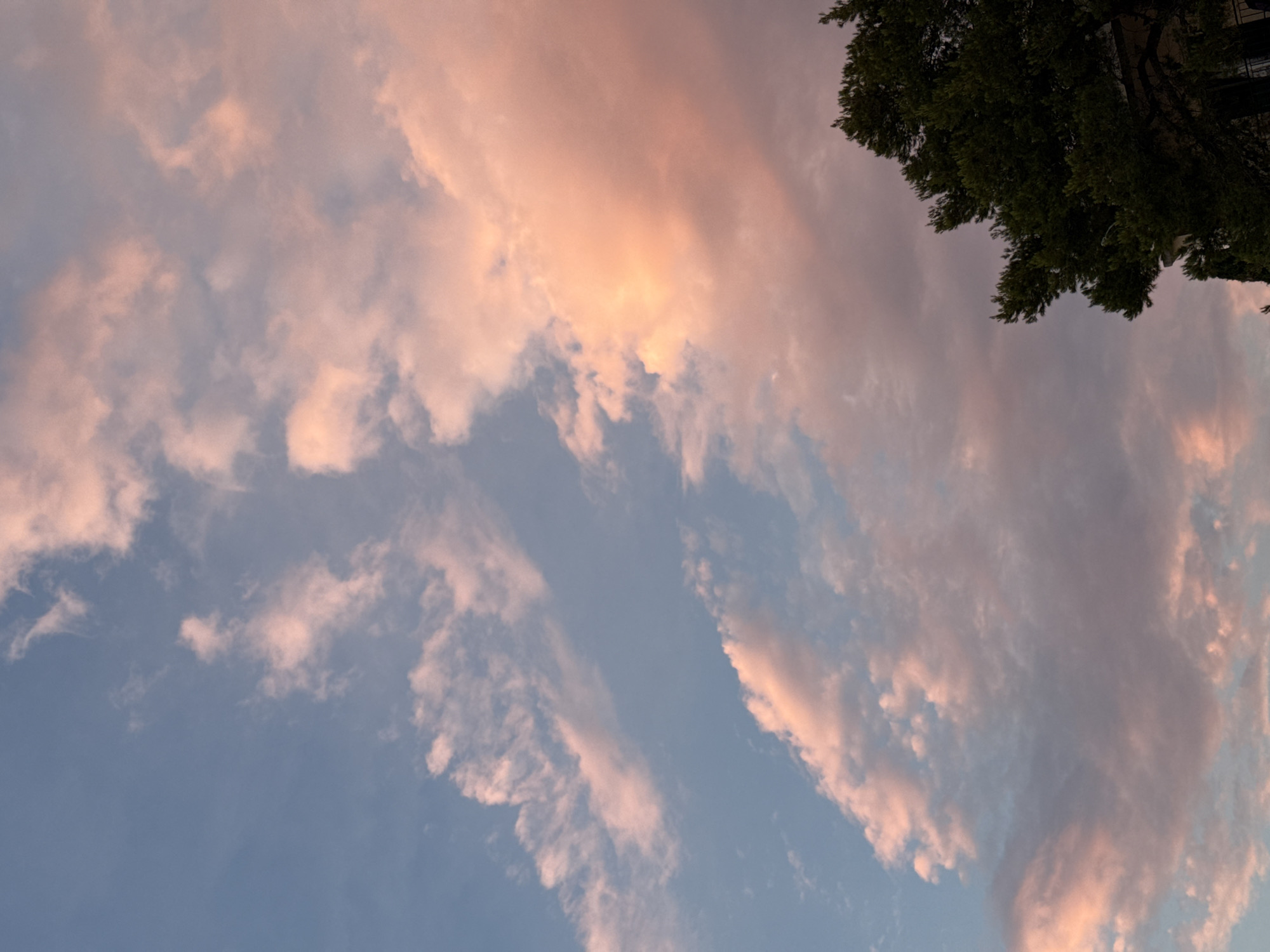 The image shows a sky with scattered clouds tinged with pink and orange hues, suggesting either sunrise or sunset. The clouds are textured and vary in density. In the lower right corner of the image, the dark green foliage of a tree is visible, along with a portion of a building. The lighting indicates it is likely late afternoon or early evening. No people are present in the frame. The setting appears to be outdoors, in a location that features trees and buildings, consistent with an urban or suburban environment. Considering the prompt's reference to Primošten, Croatia, this scene could be a view of the sky over that coastal town.