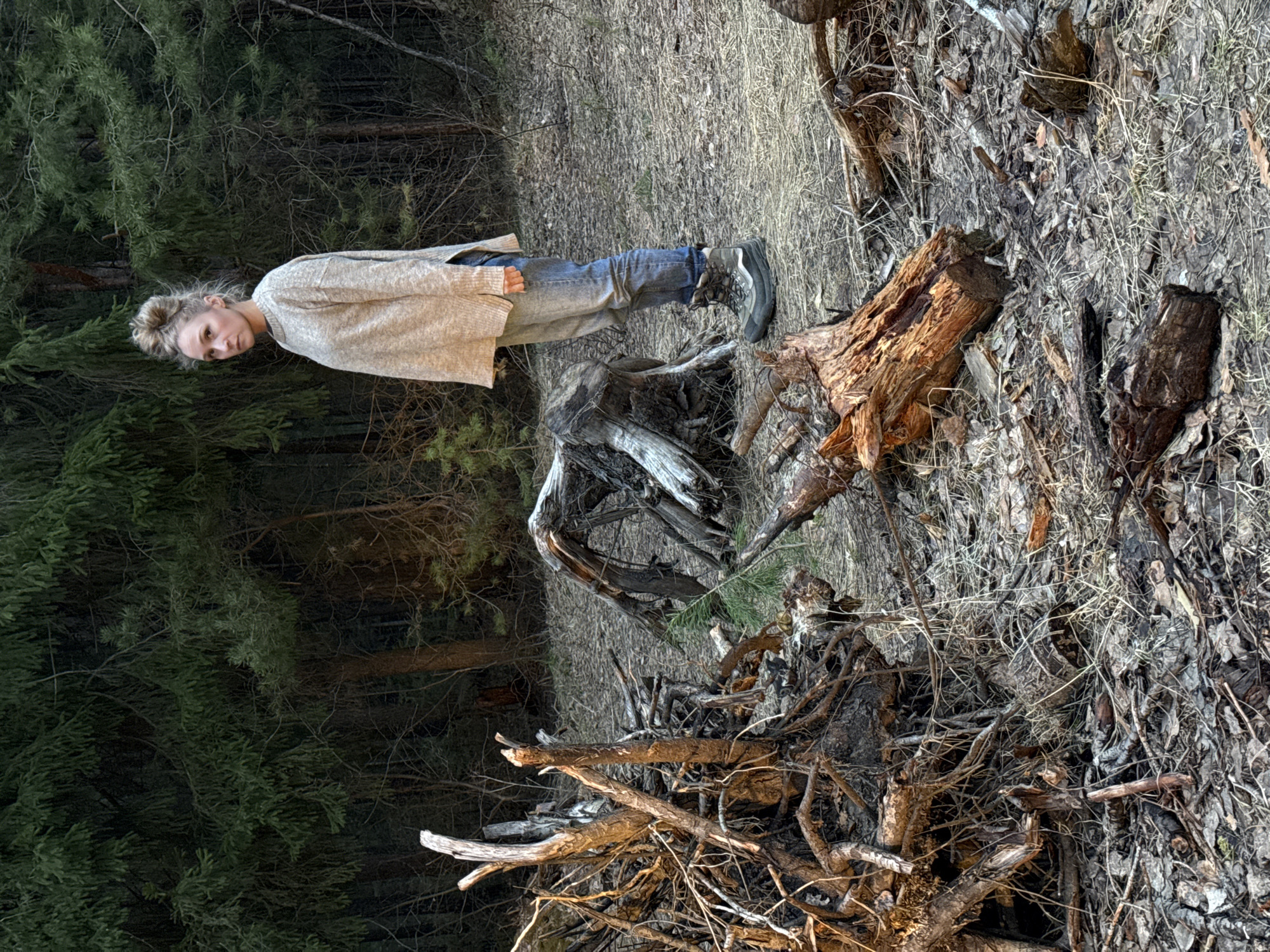 A young woman stands in a forest in Chaikovsky, Russia, looking directly towards the viewer. She has blonde hair tied in a bun and is wearing a light-colored, possibly cream or beige, knitted sweater or cardigan, blue jeans, and sturdy grey and black hiking boots. She is positioned slightly to the left of the center, with a large, weathered tree stump and other natural debris in the foreground and to her right.
The ground is covered with dry leaves, pine needles, small branches, and remnants of tree bark, giving the appearance of a rustic or untamed woodland floor. Several broken tree stumps and logs, varying in color from light grey to reddish-brown, are scattered around the ground, indicating a natural forest environment. In the background, dense evergreen trees, likely pines or spruces, create a dark green backdrop, suggesting a thick forest.
The lighting indicates it is daytime, possibly late afternoon or early morning, with soft, diffused light, and no harsh shadows, suggesting overcast weather or a shaded area within the forest. The overall scene conveys a quiet and natural outdoor setting. There is no visible text in the image.